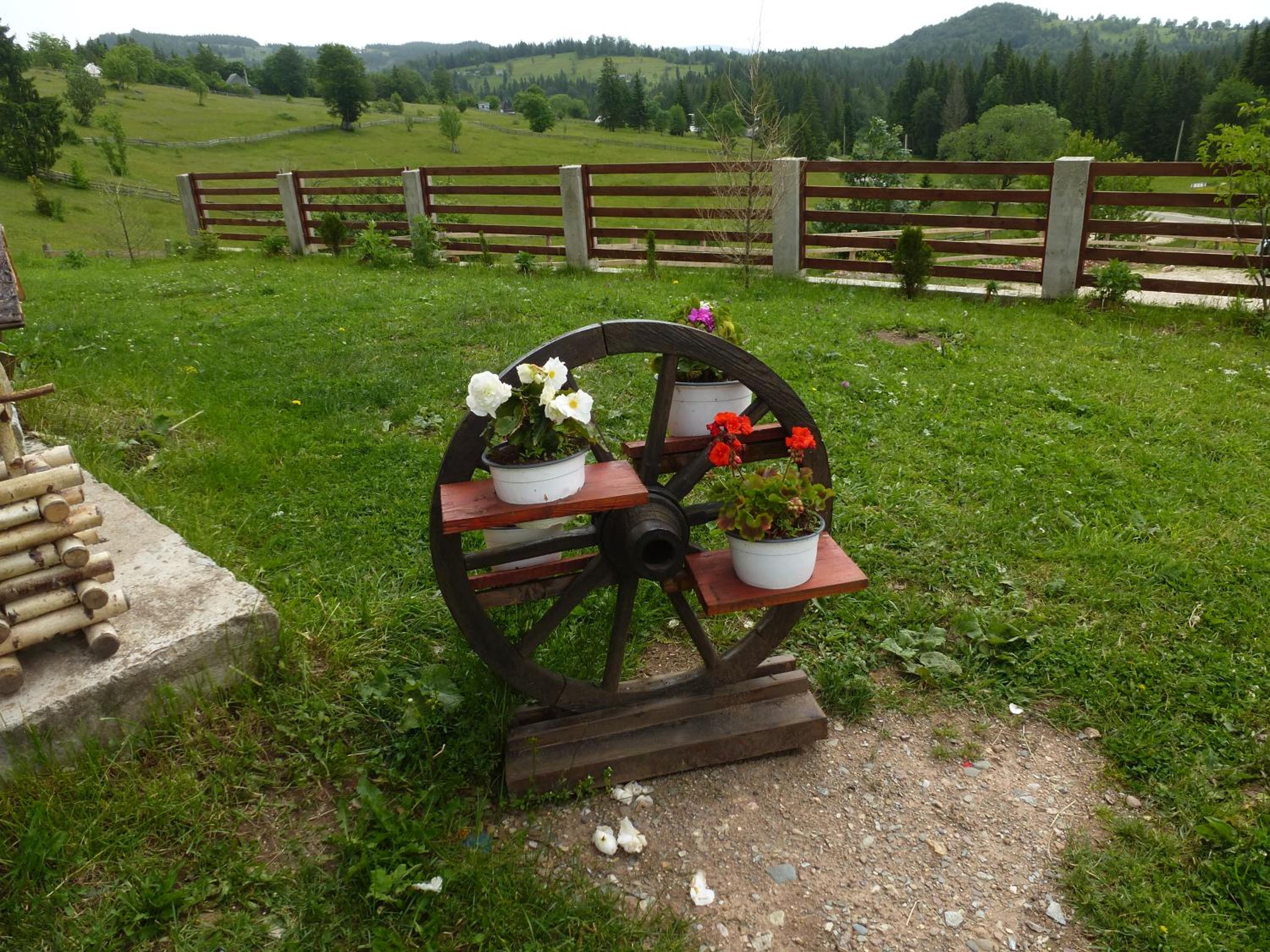 Photo 43