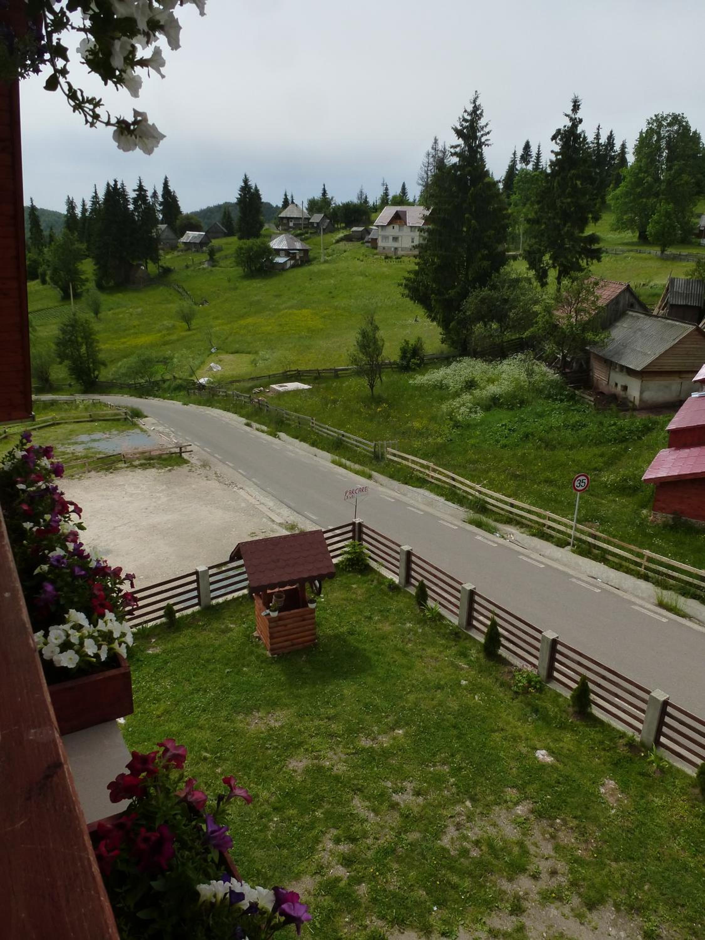 Photo 42