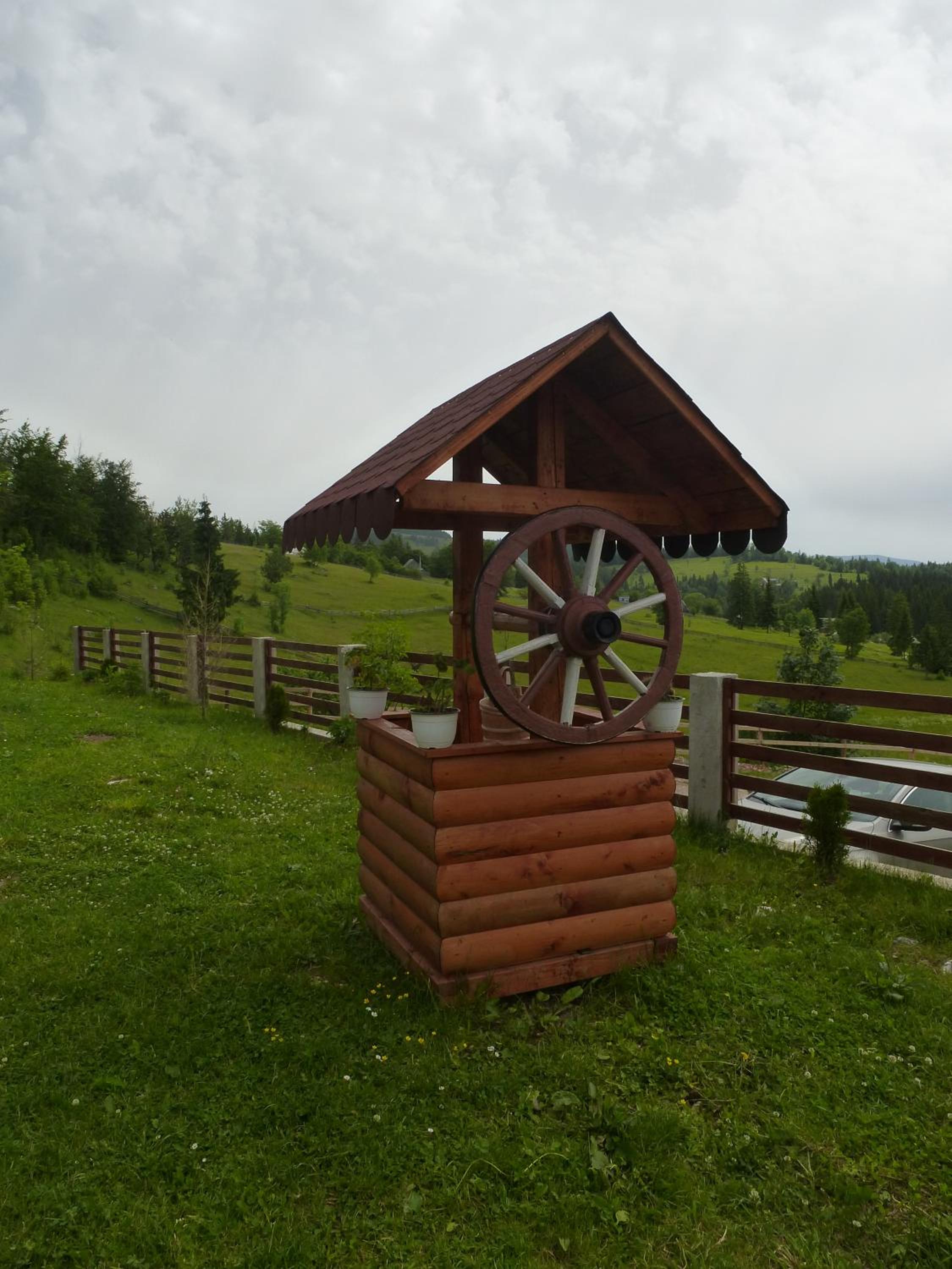 Photo 41