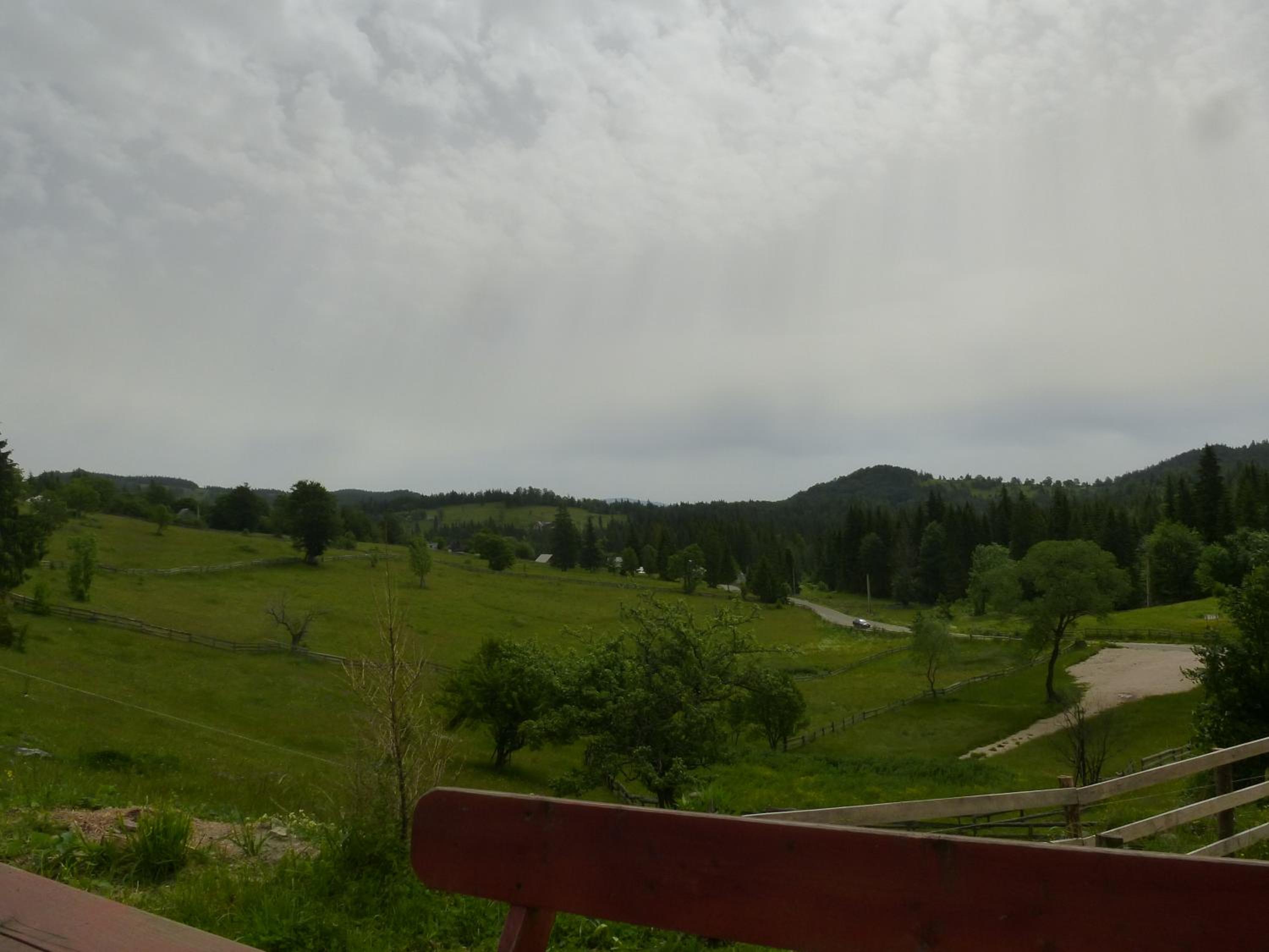 Photo 40