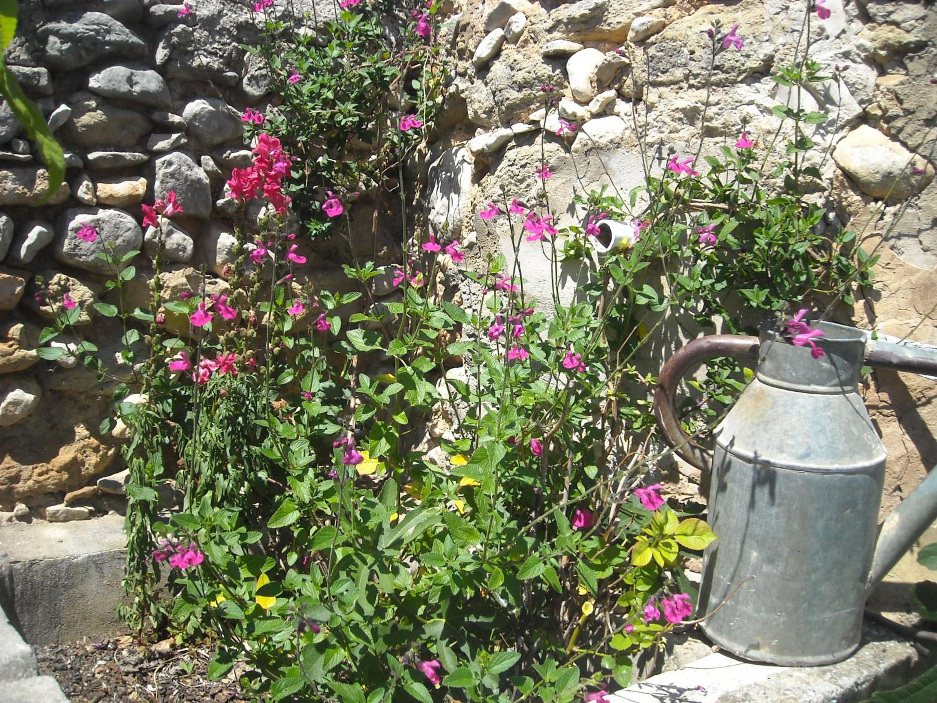 Photo 29