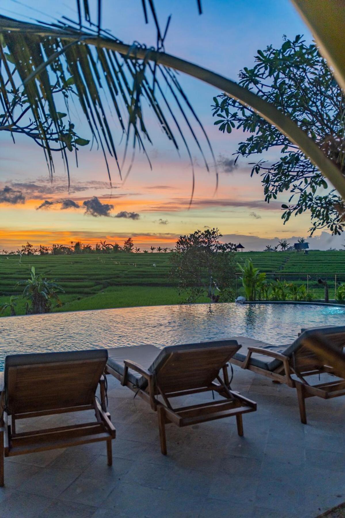 Padma Villa Center Canggu Rice paddies view