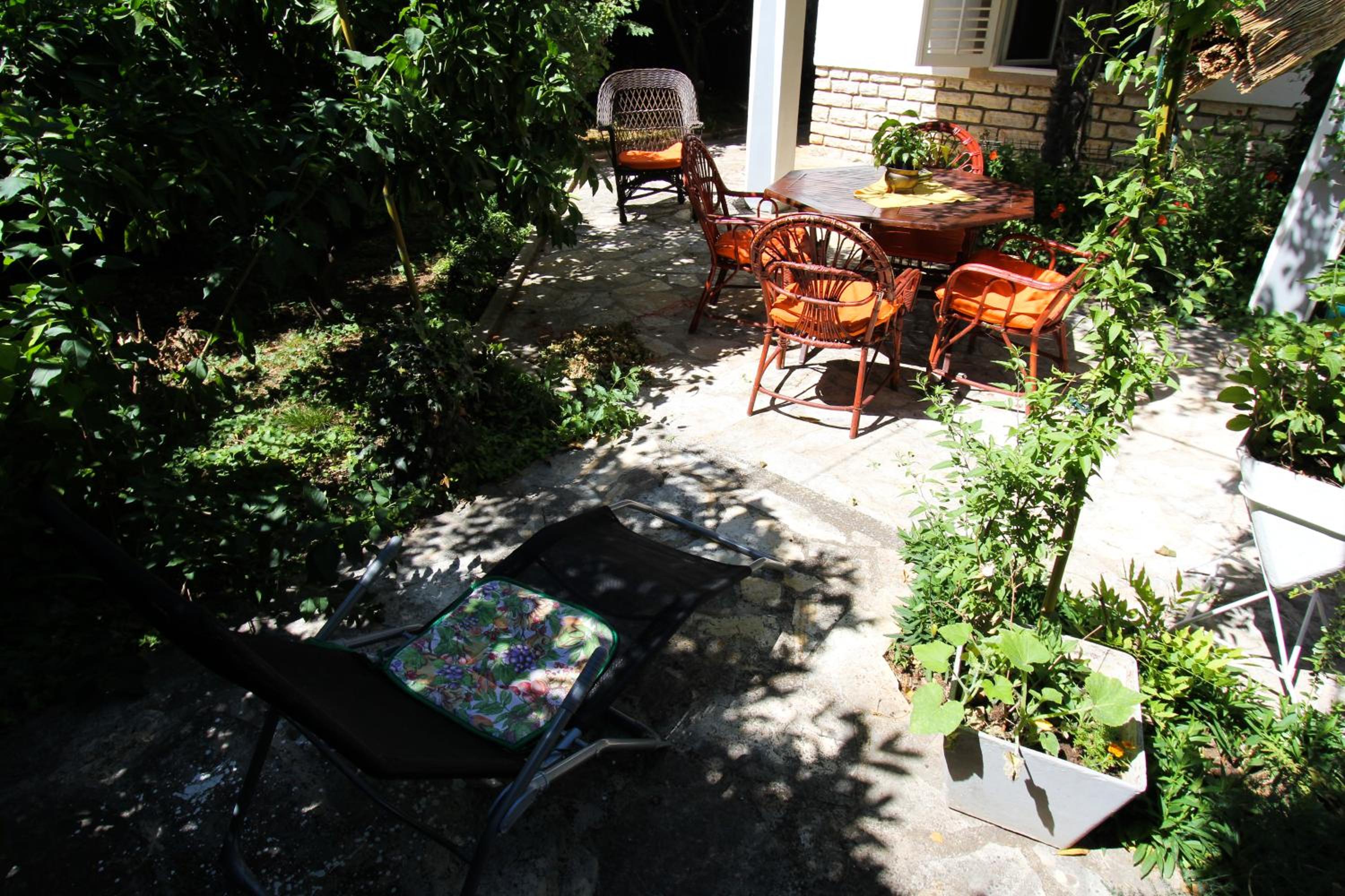 Photo 44