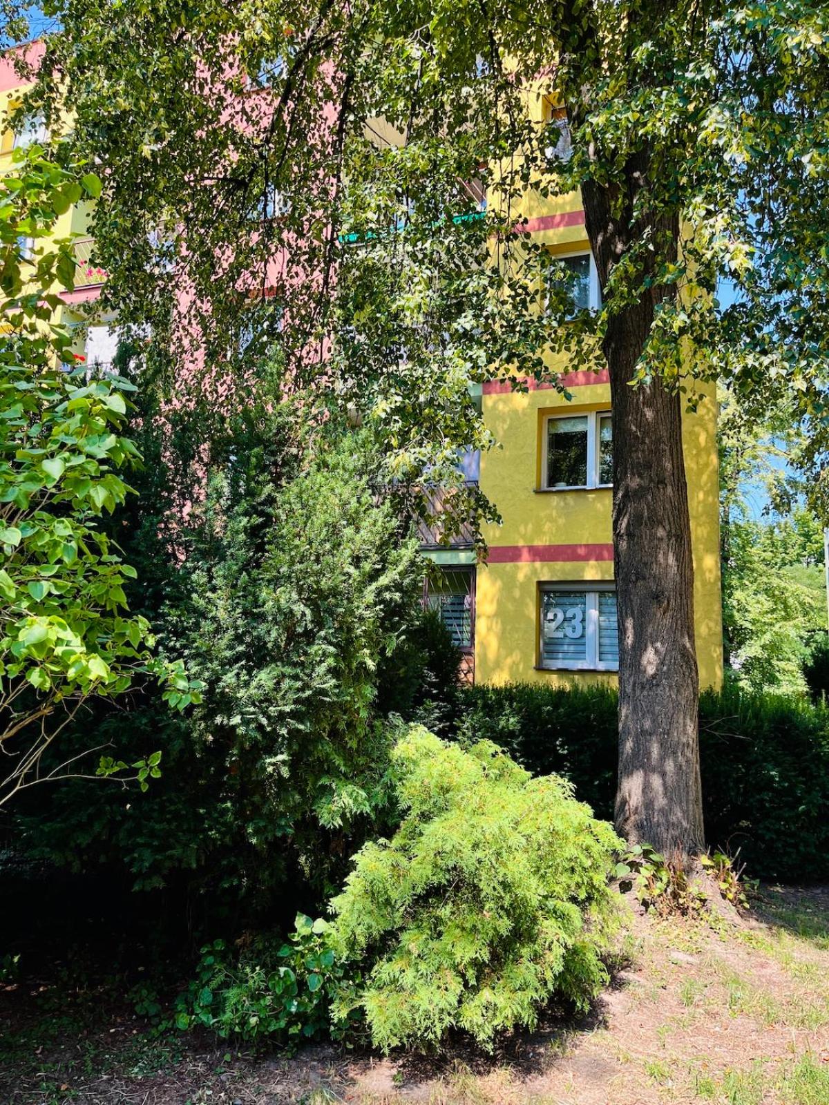 Apartament 23