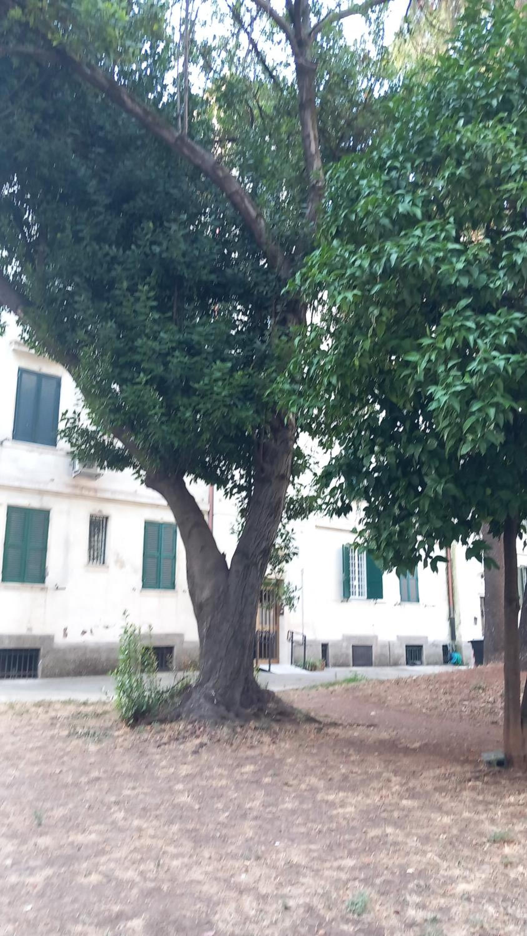 Roma centro little house of testaccio