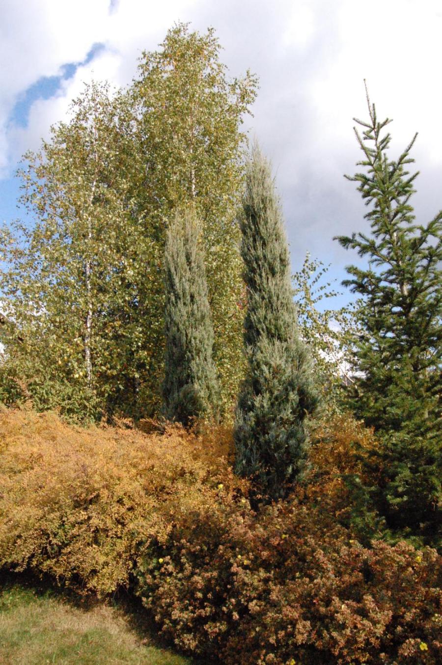 Photo 43