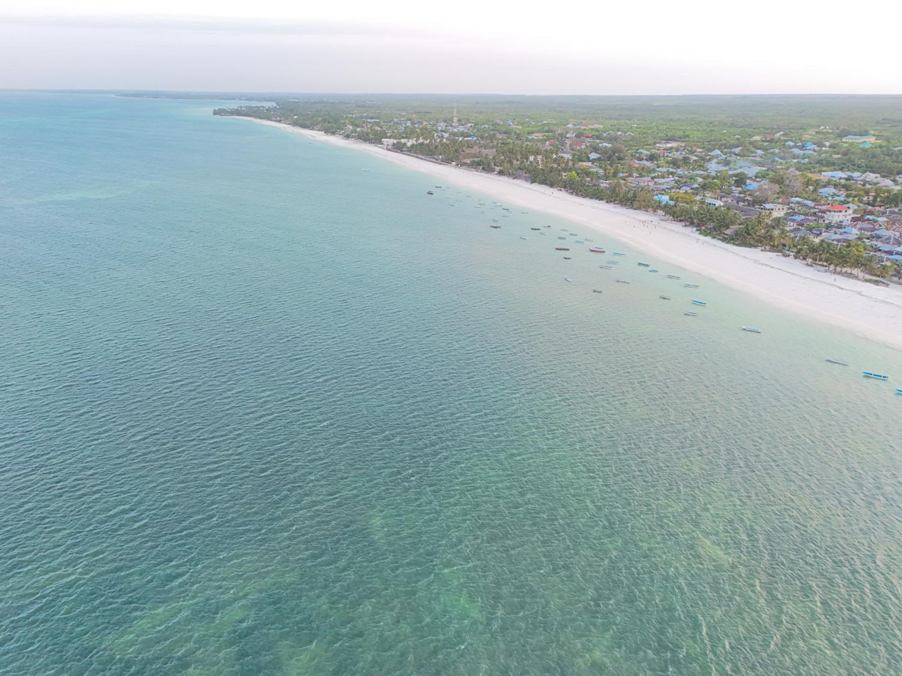 Oceanfront 2BR Zanzibar - Free Airport Shuttle