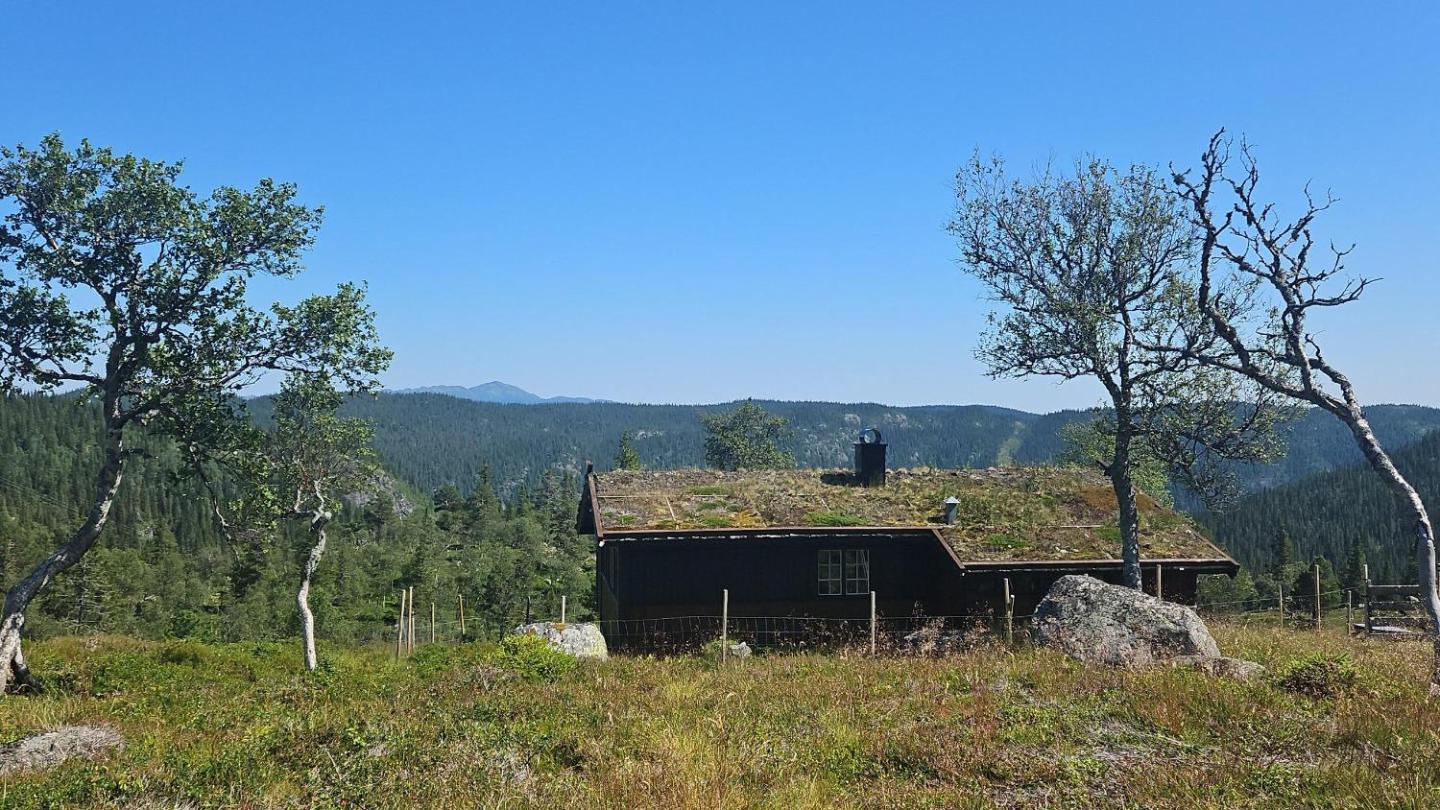 Authentic Secluded Mountain Cabin in Telemark with Panoramic Views
