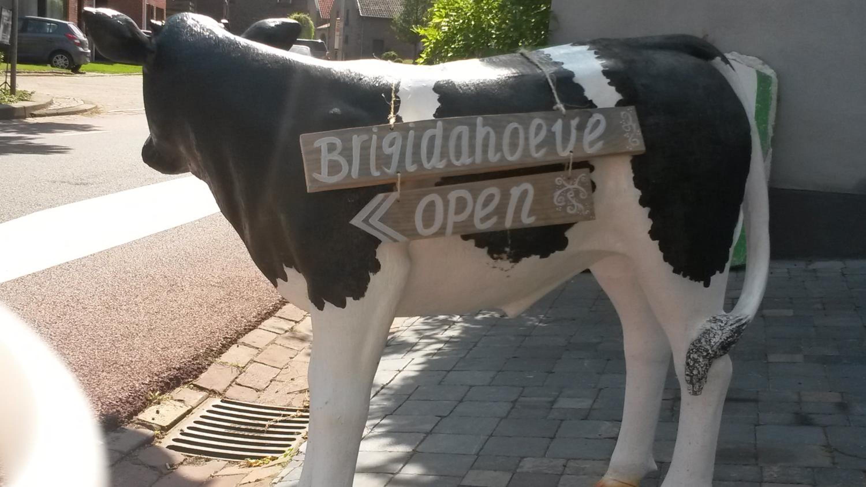 Brigidahoeve view 3