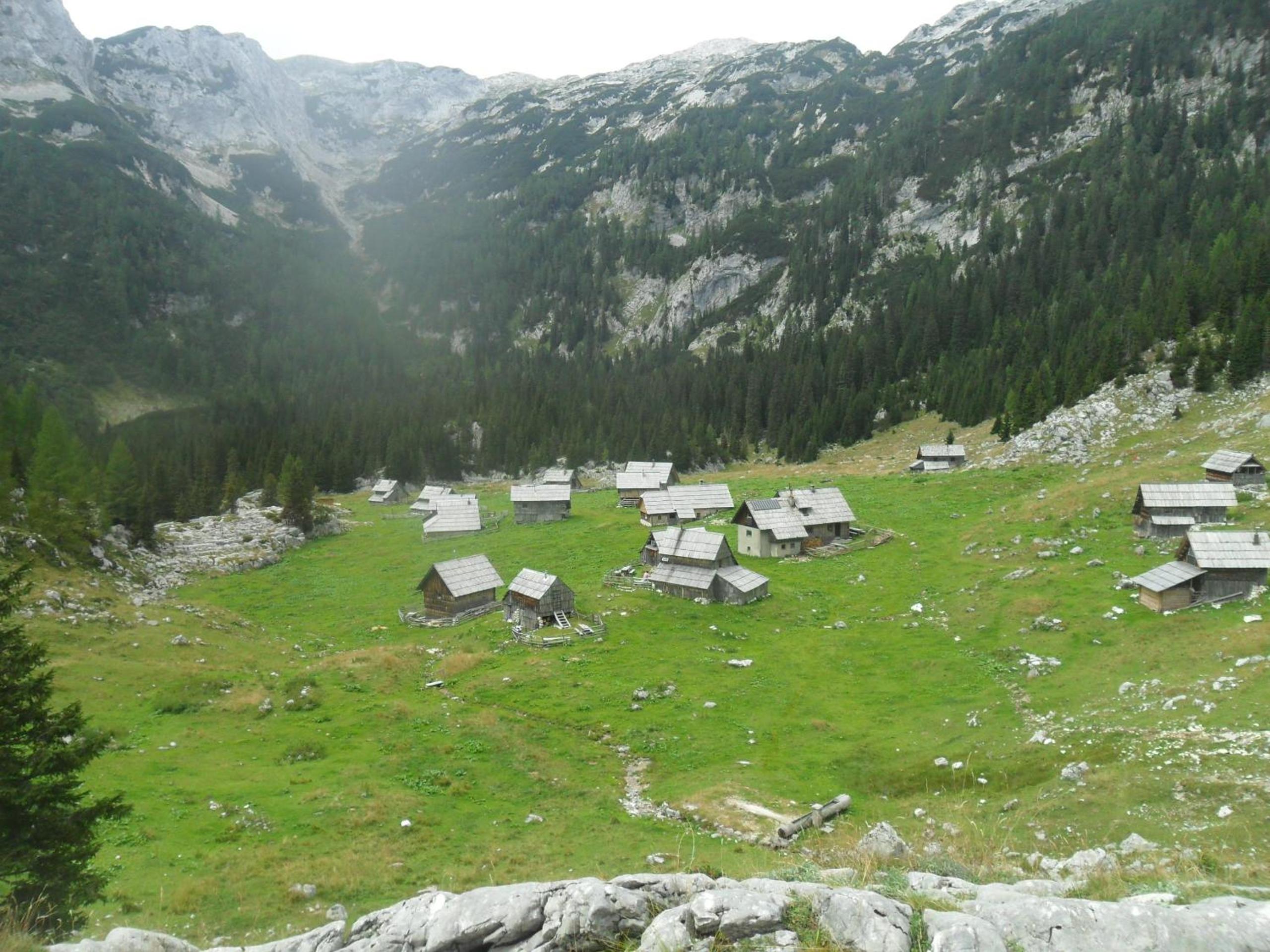 Photo 39