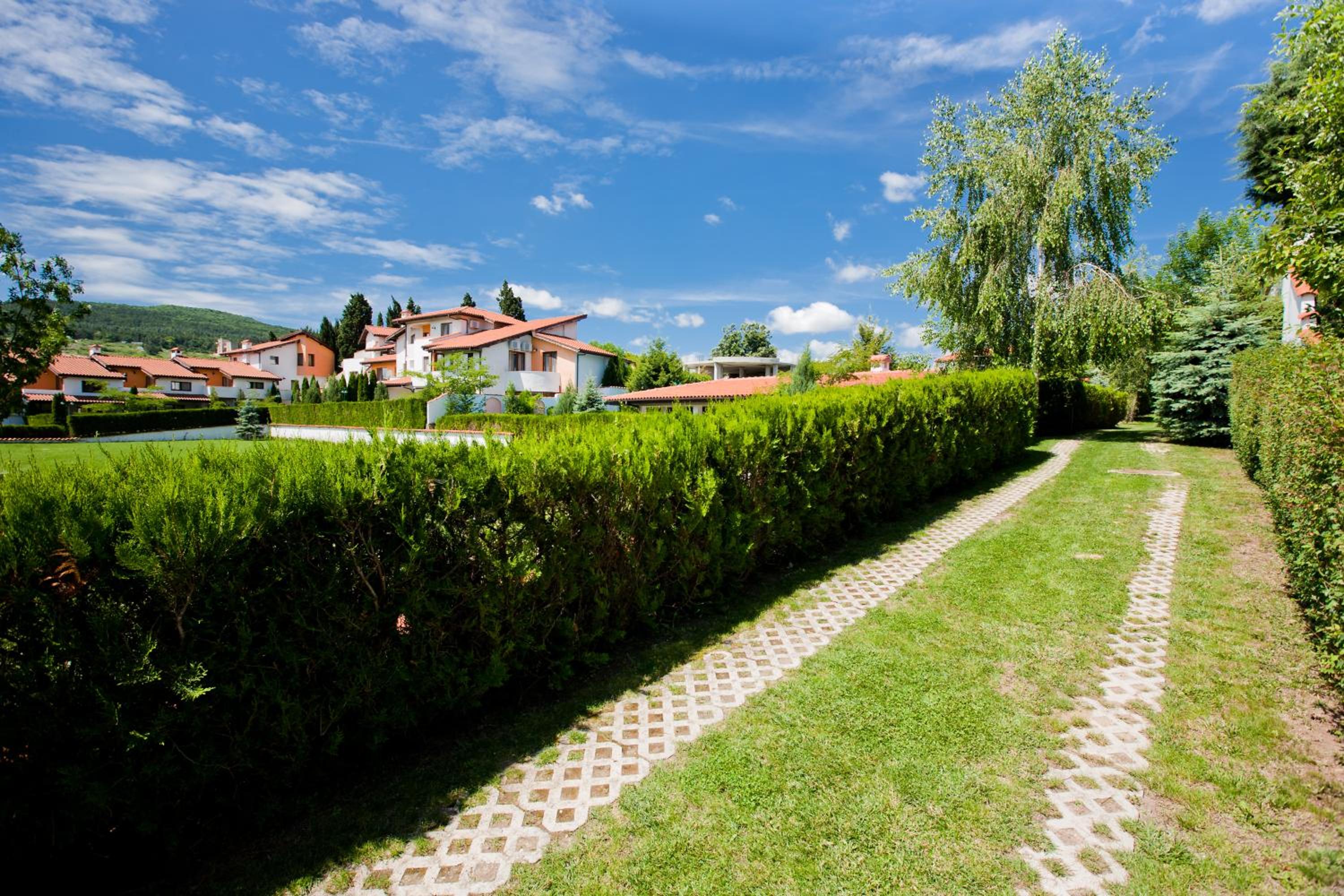 Photo 25