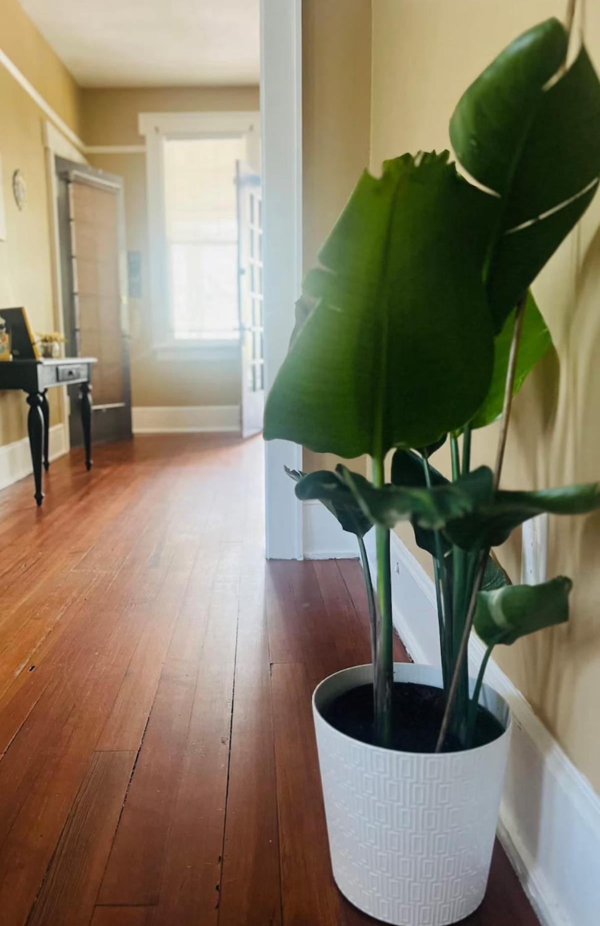 Hideaway 3BR 5 min to Stadium