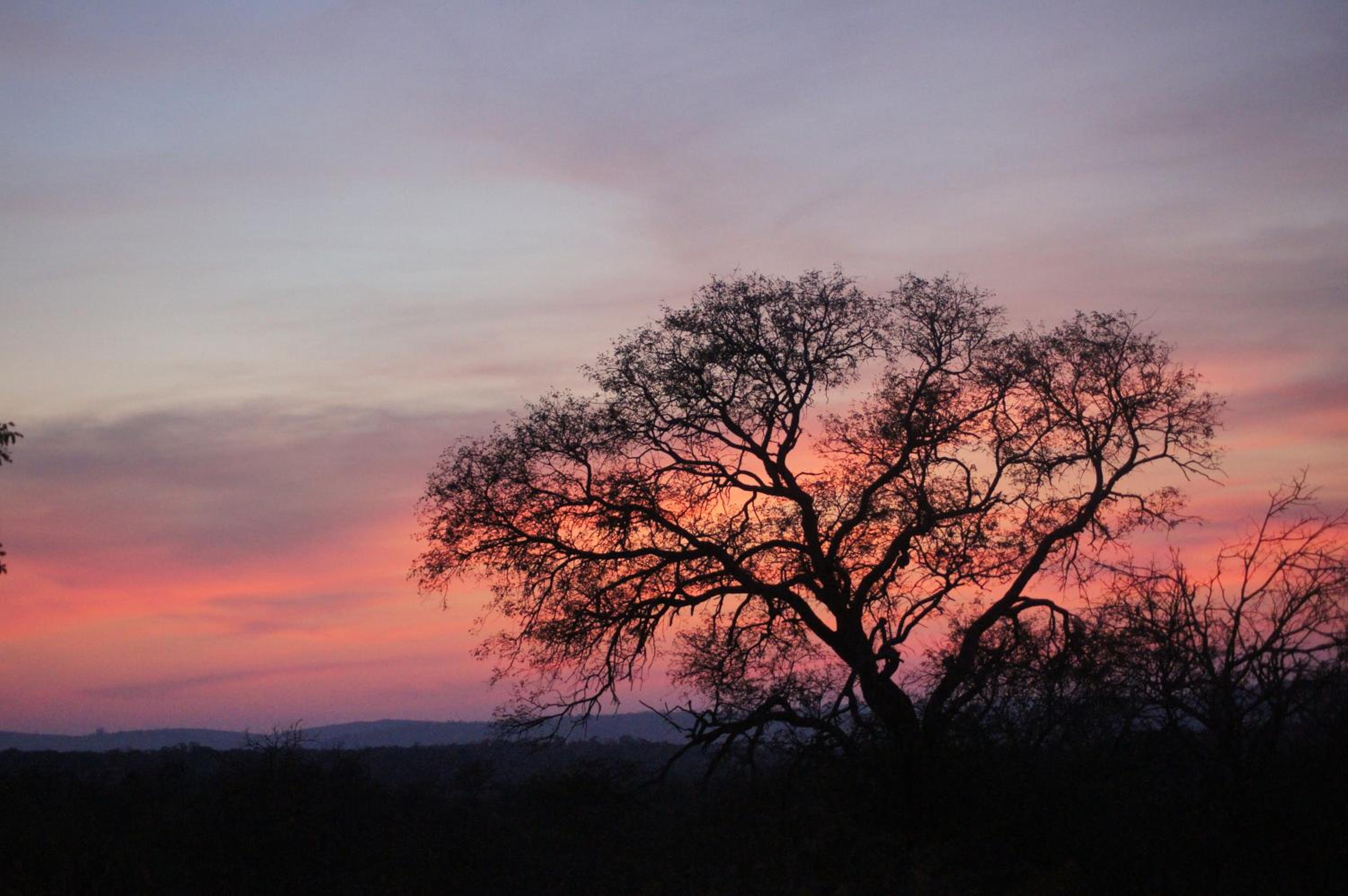 The Fever Tree Guest House