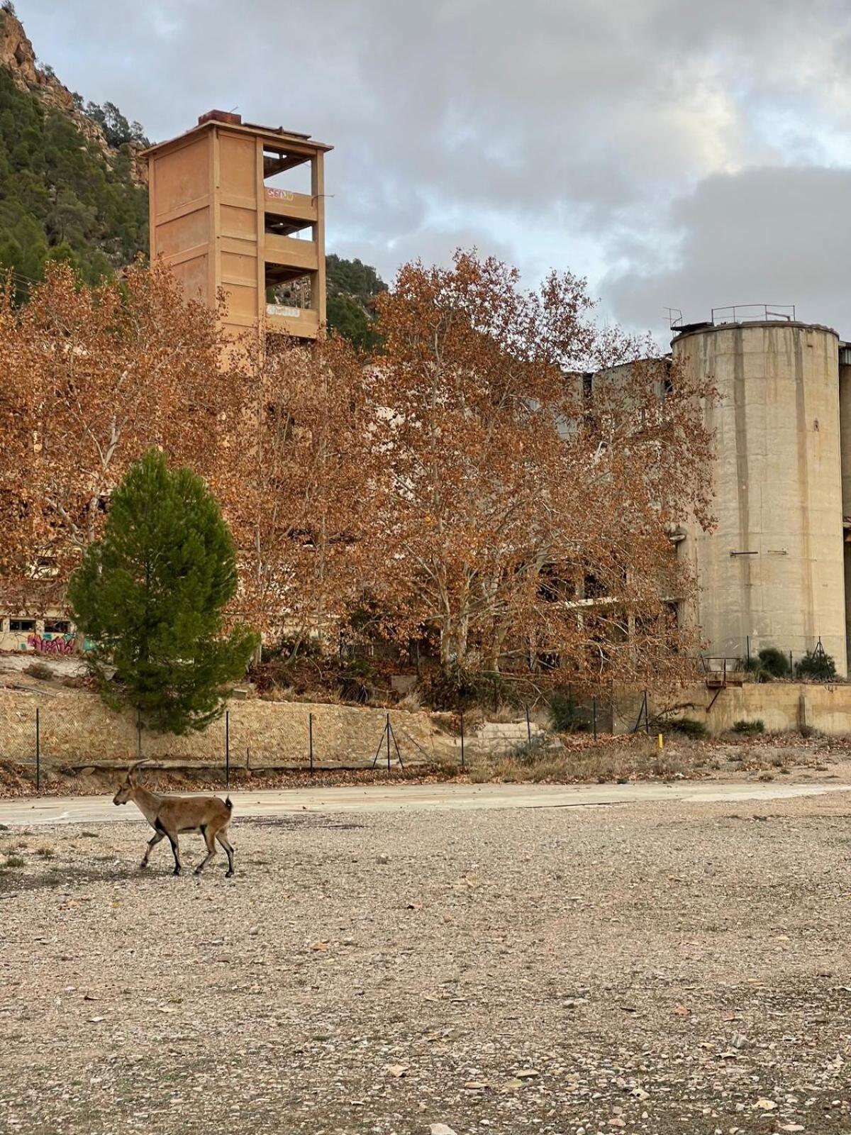 Casa rural muy acogedora