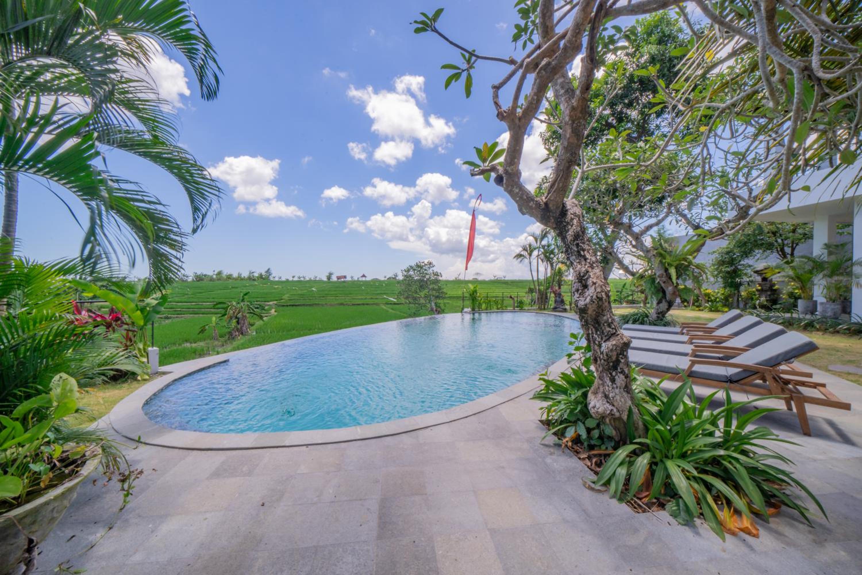 Padma Villa Center Canggu Rice paddies view