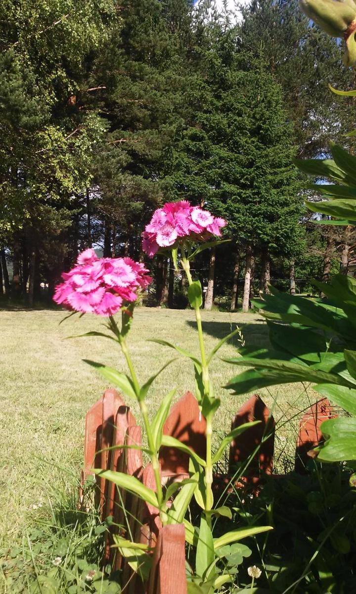 Photo 27