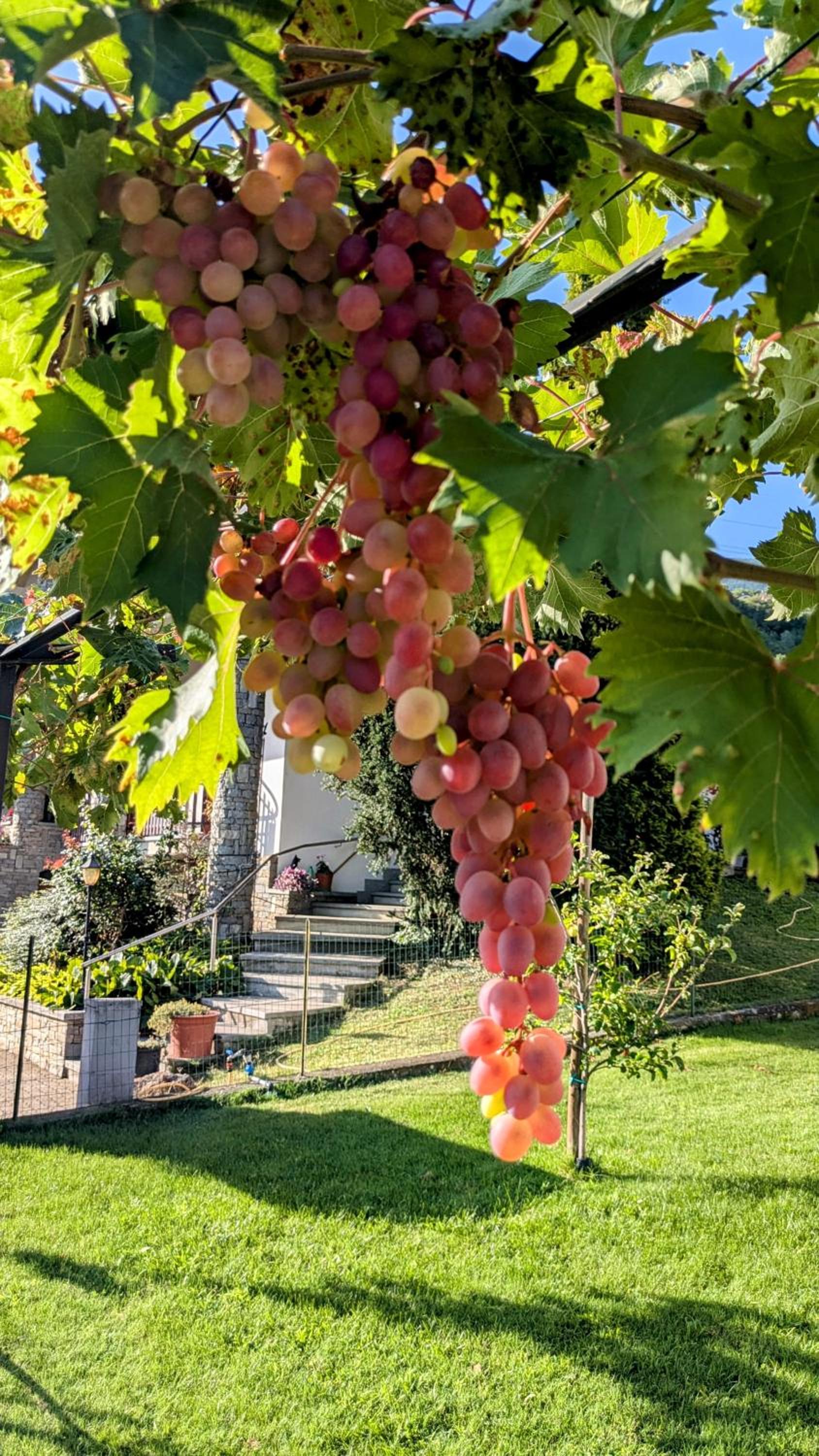 La Mansarda dei Tre Cipressi
