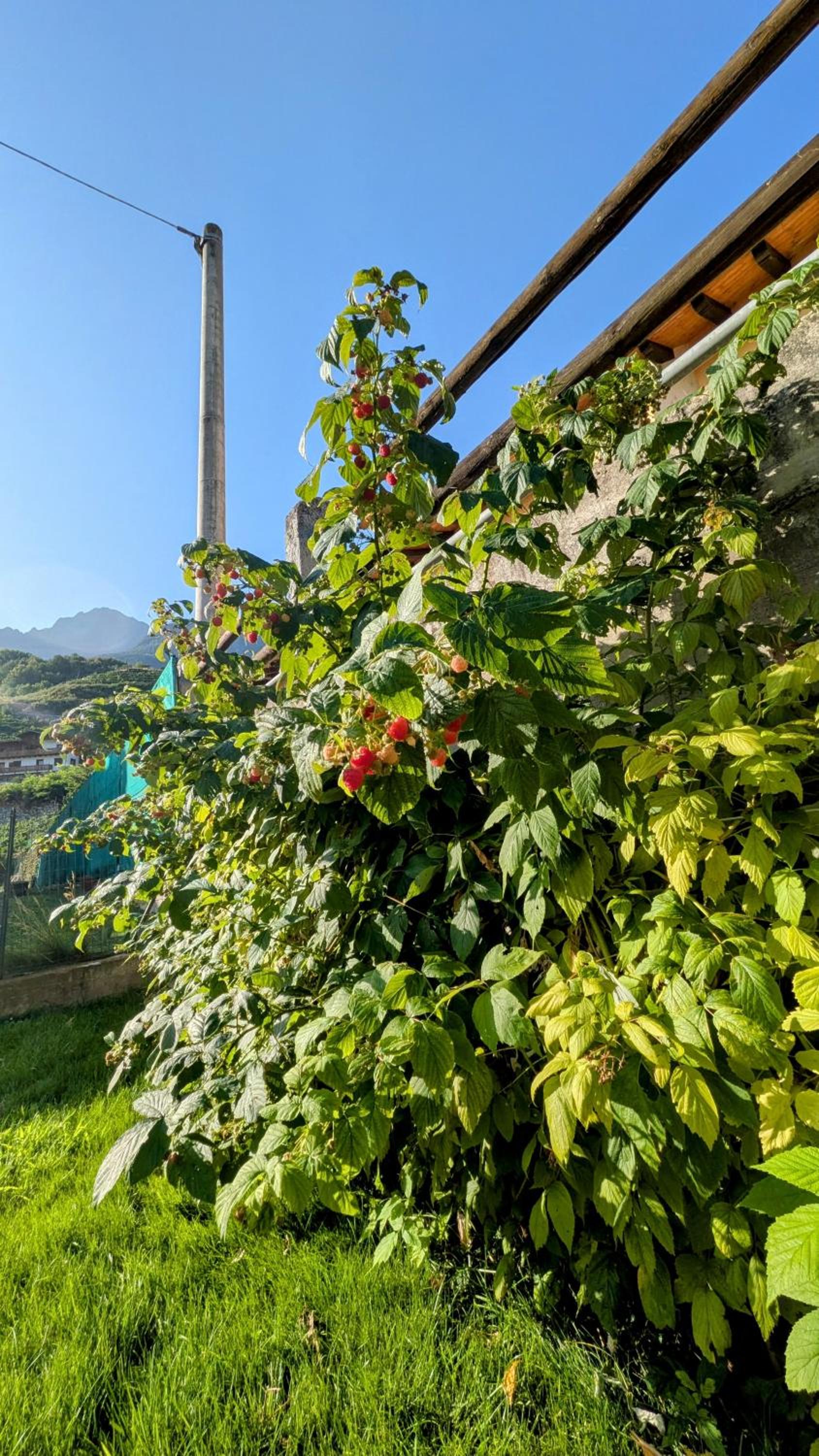La Mansarda dei Tre Cipressi