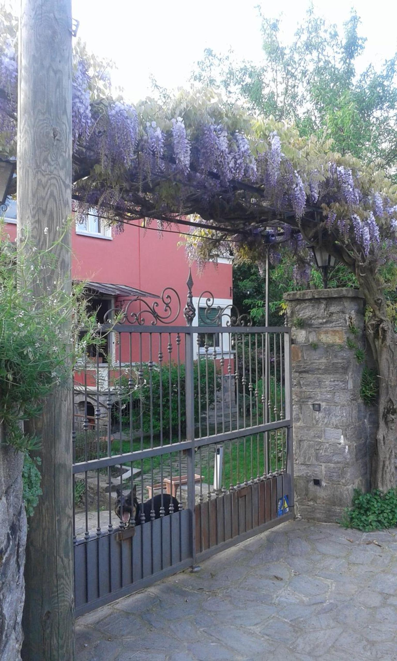Photo 21