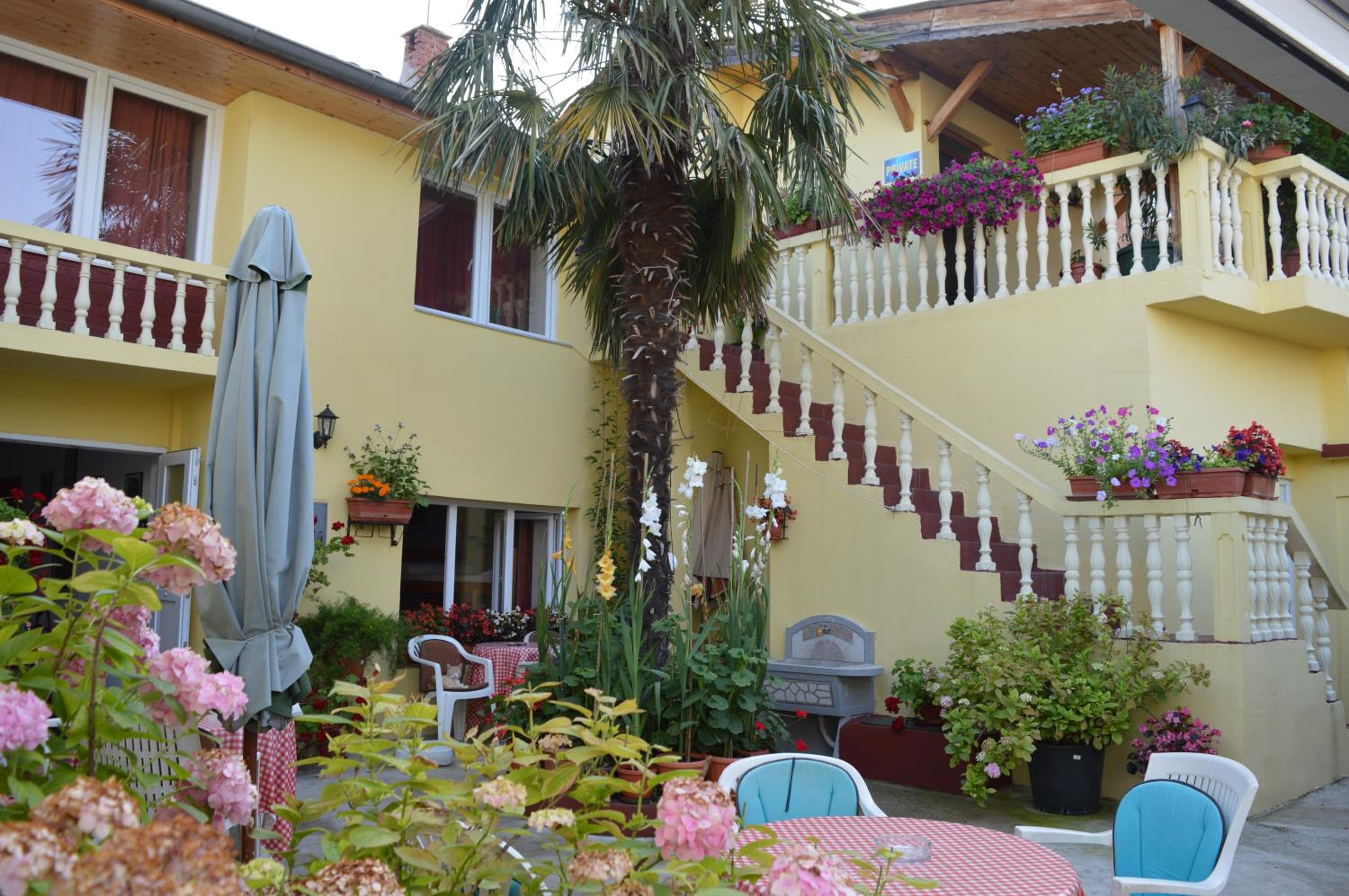 Hostel David