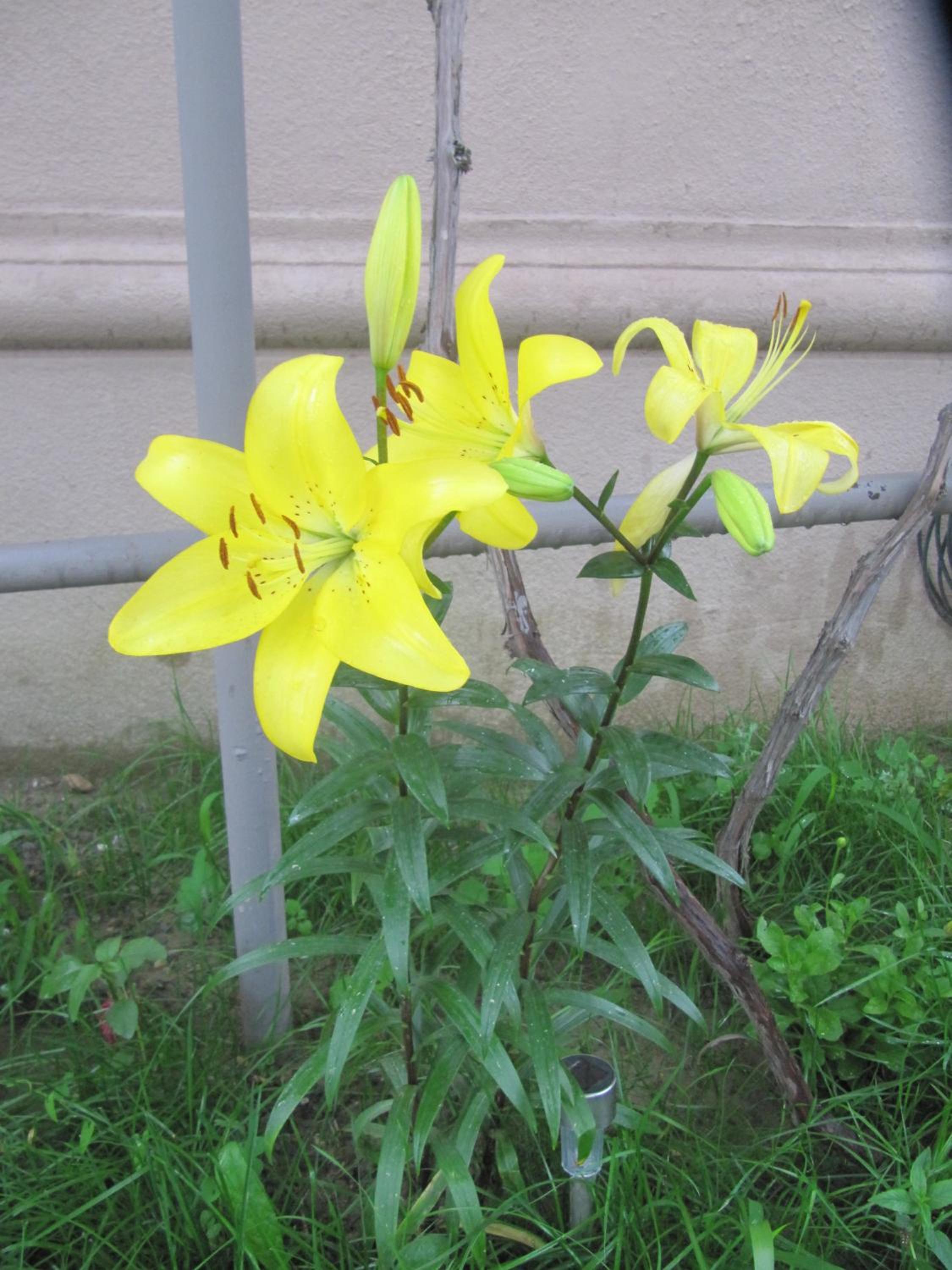 Photo 113