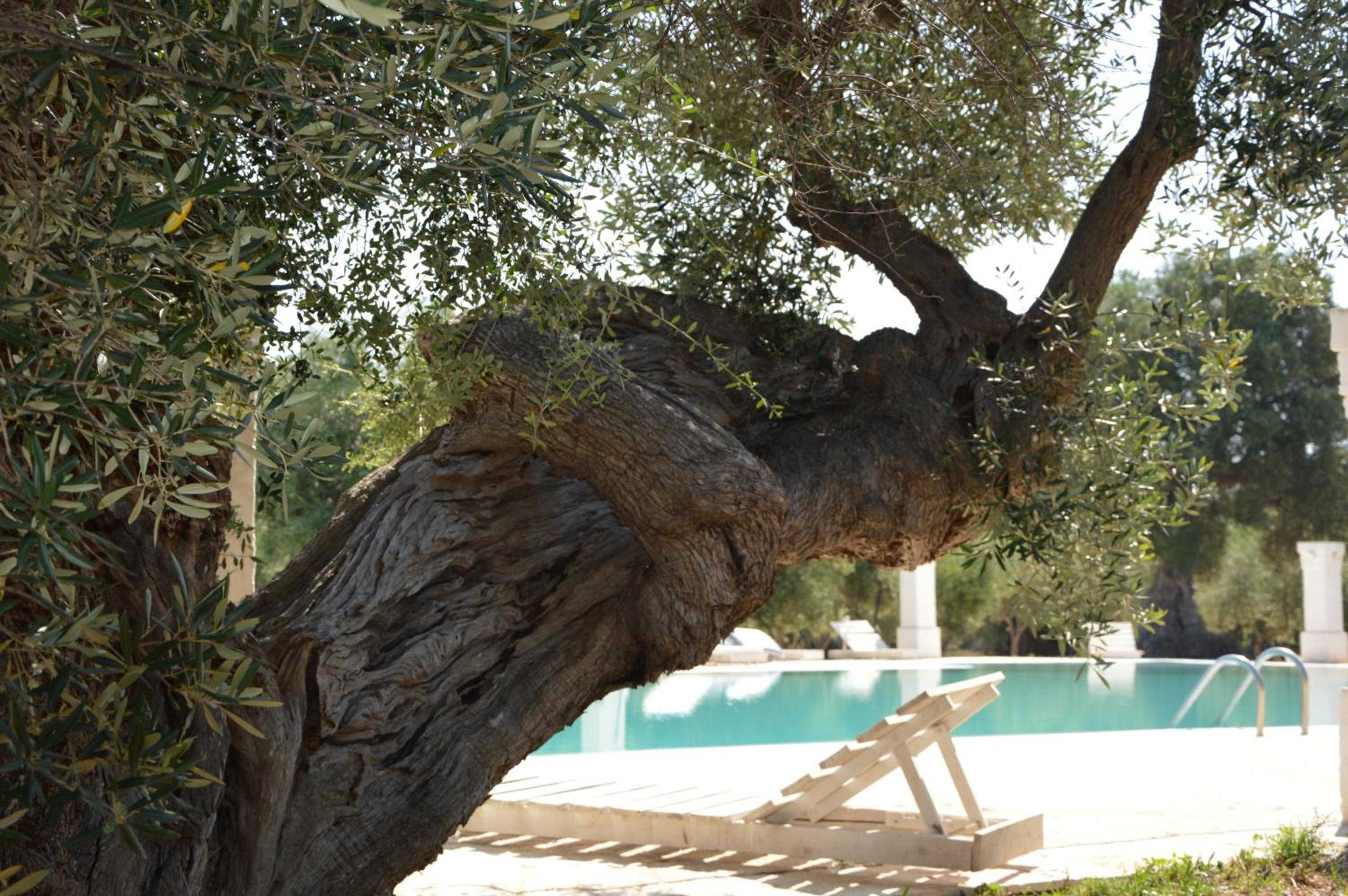 Agriturismo Masseria San Leonardo