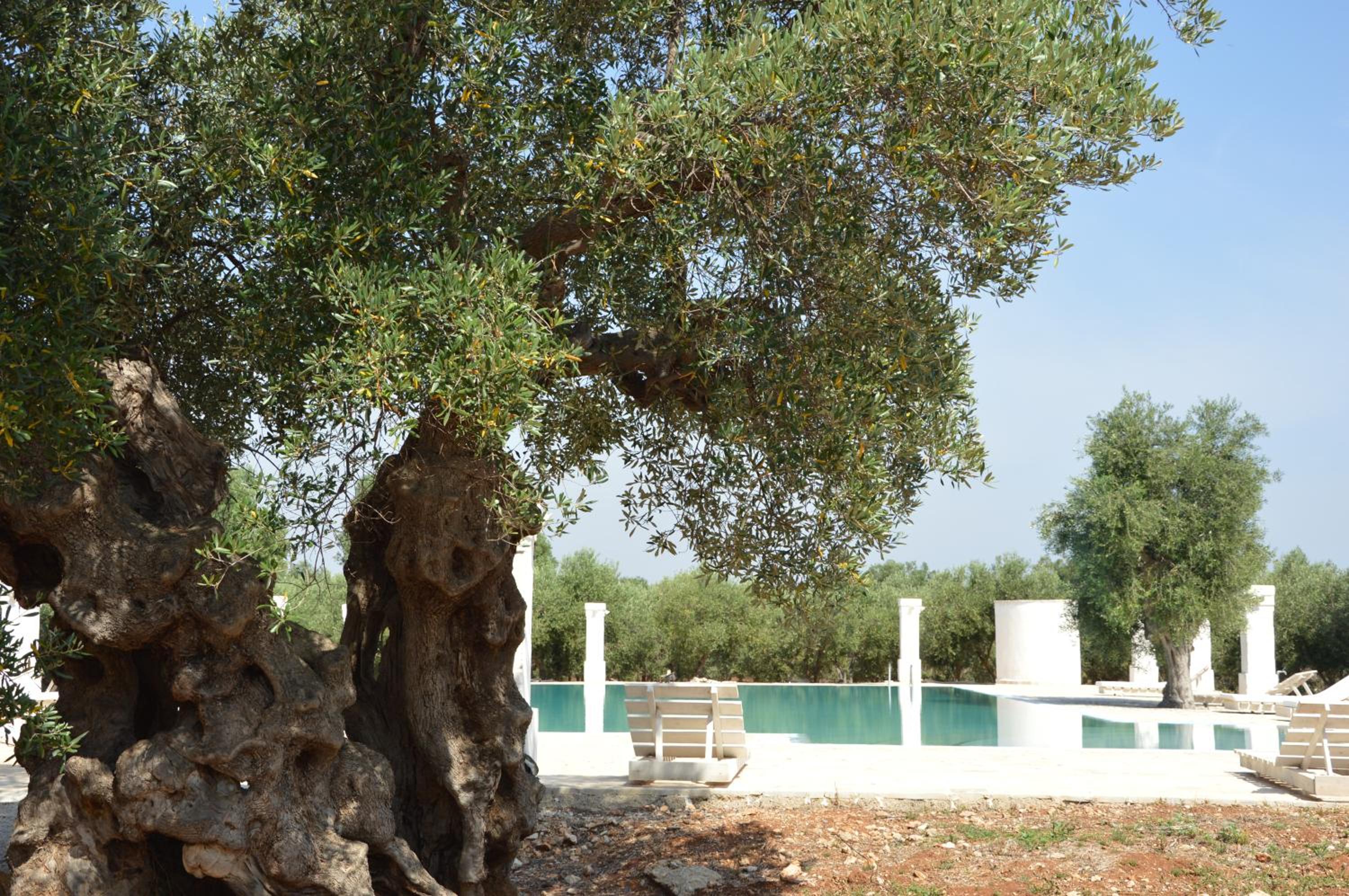 Agriturismo Masseria San Leonardo