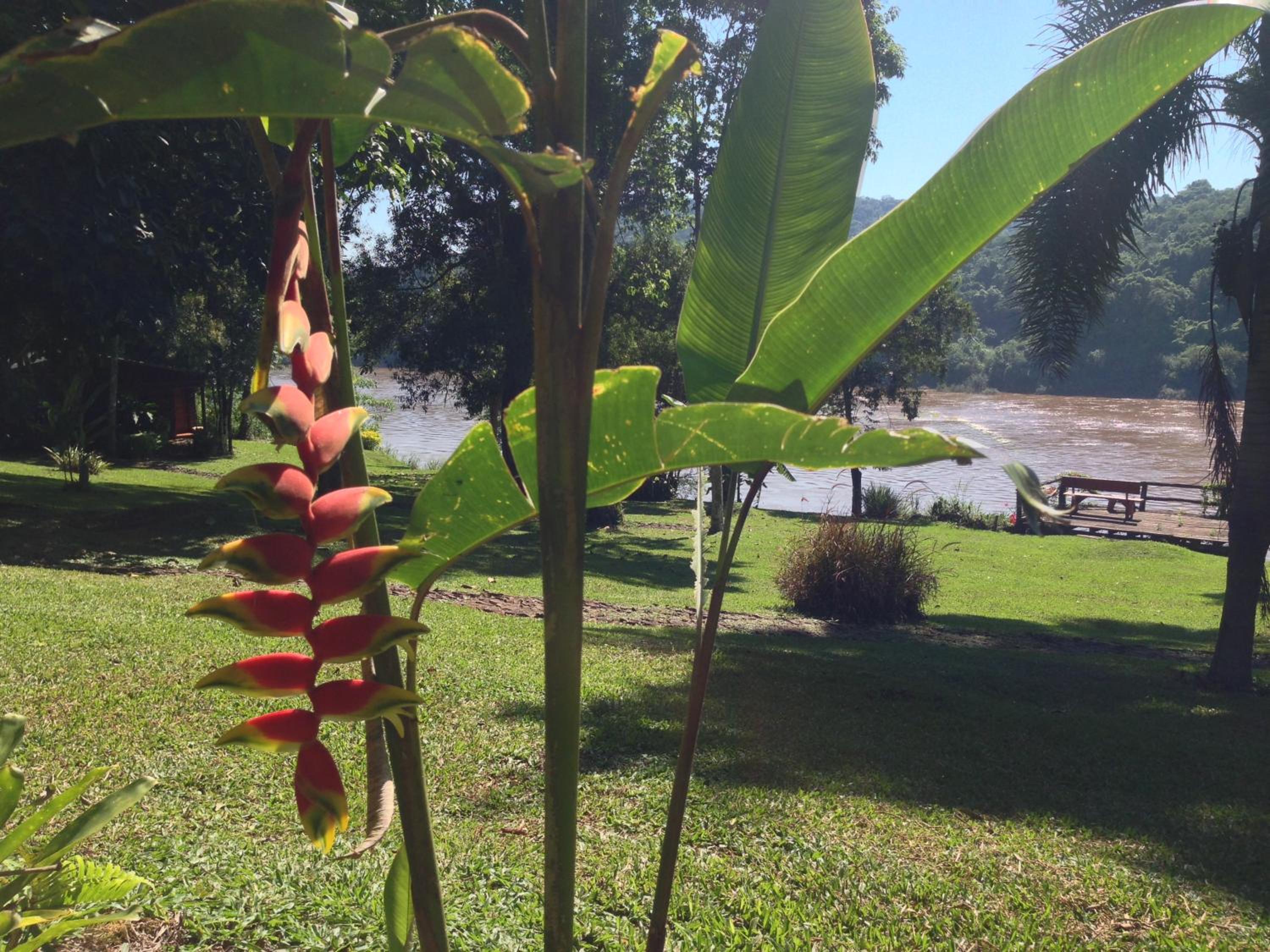 La Mision Mocona - Lodge de Selva