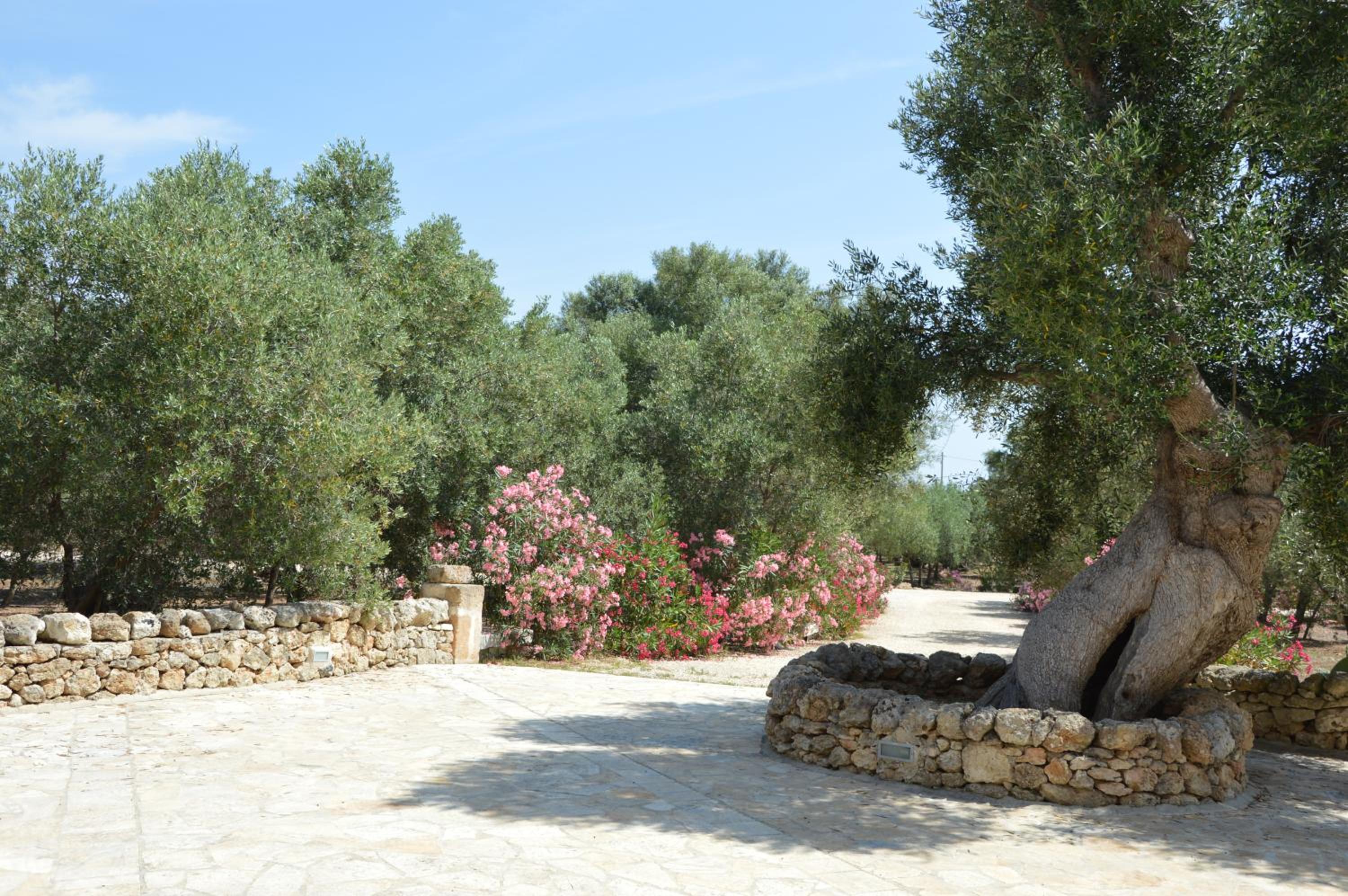 Agriturismo Masseria San Leonardo