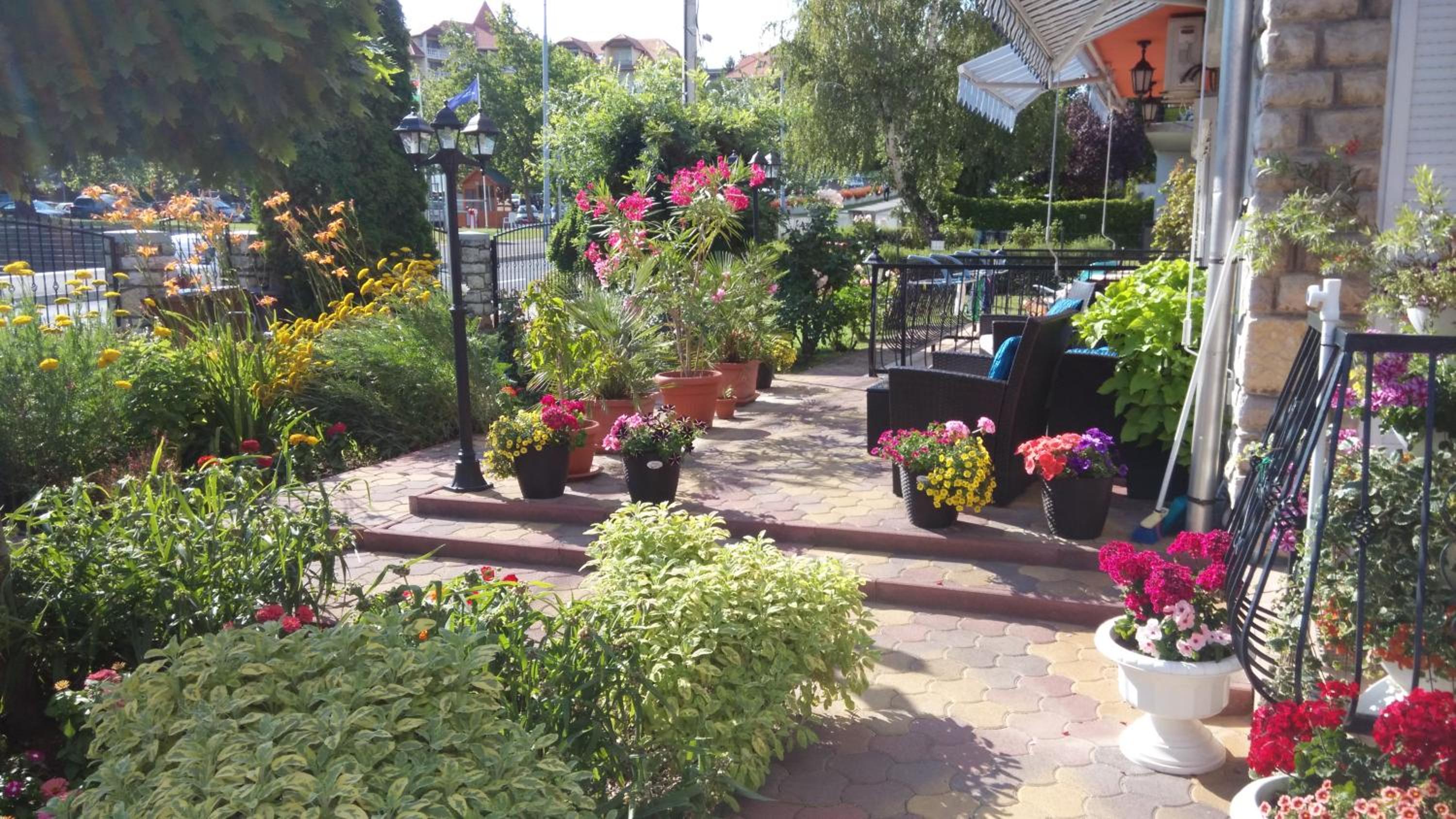 Photo 22