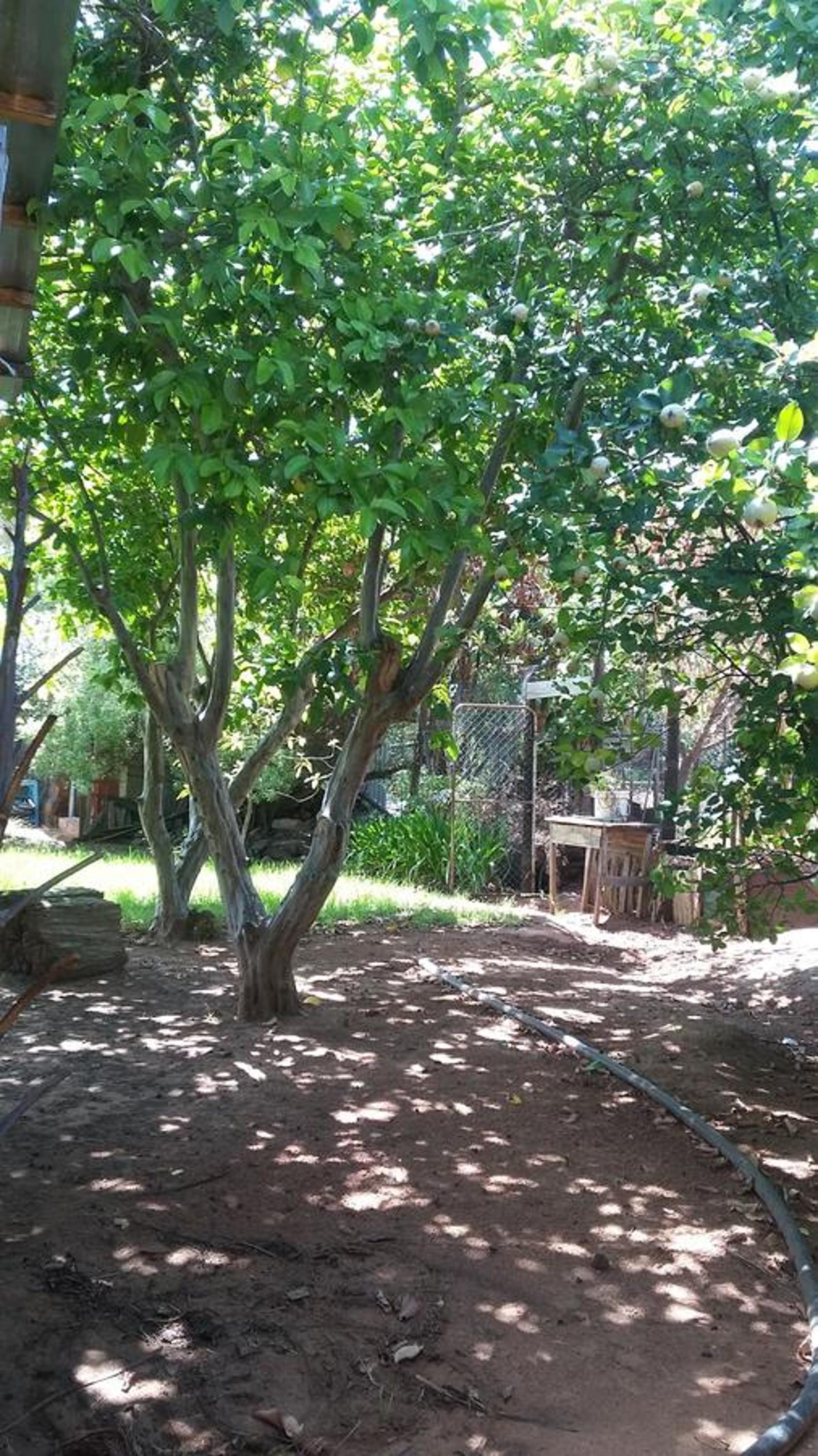 Photo 28