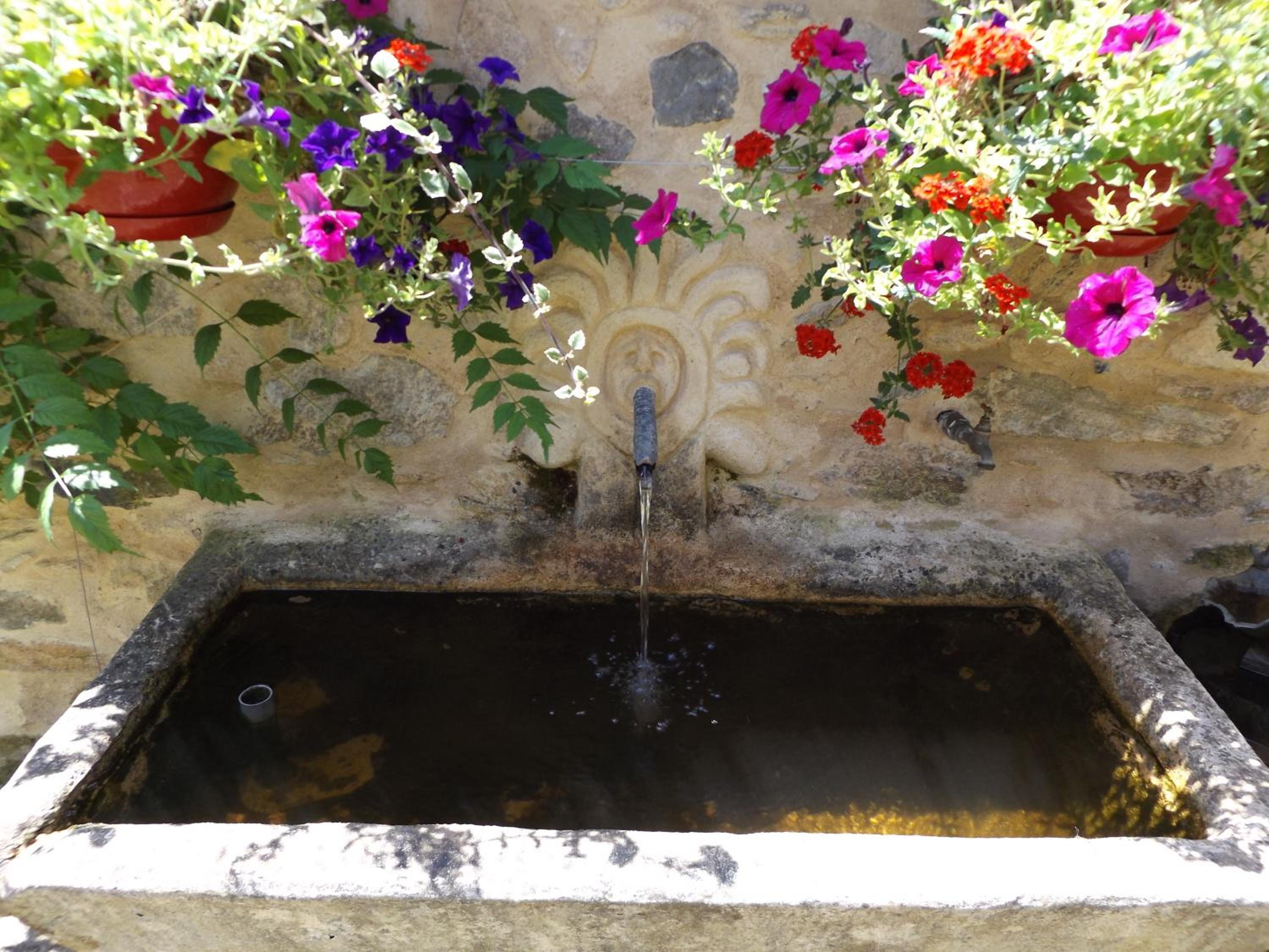 Photo 37