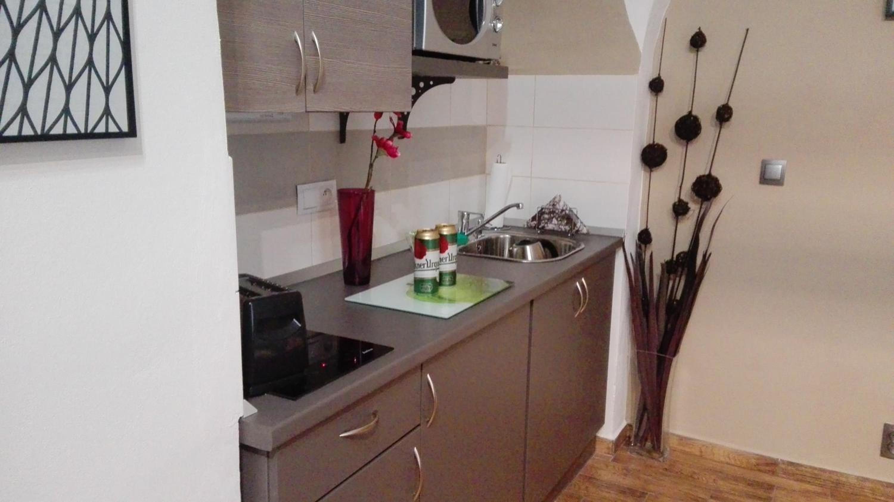 Apartment Jakubská 676