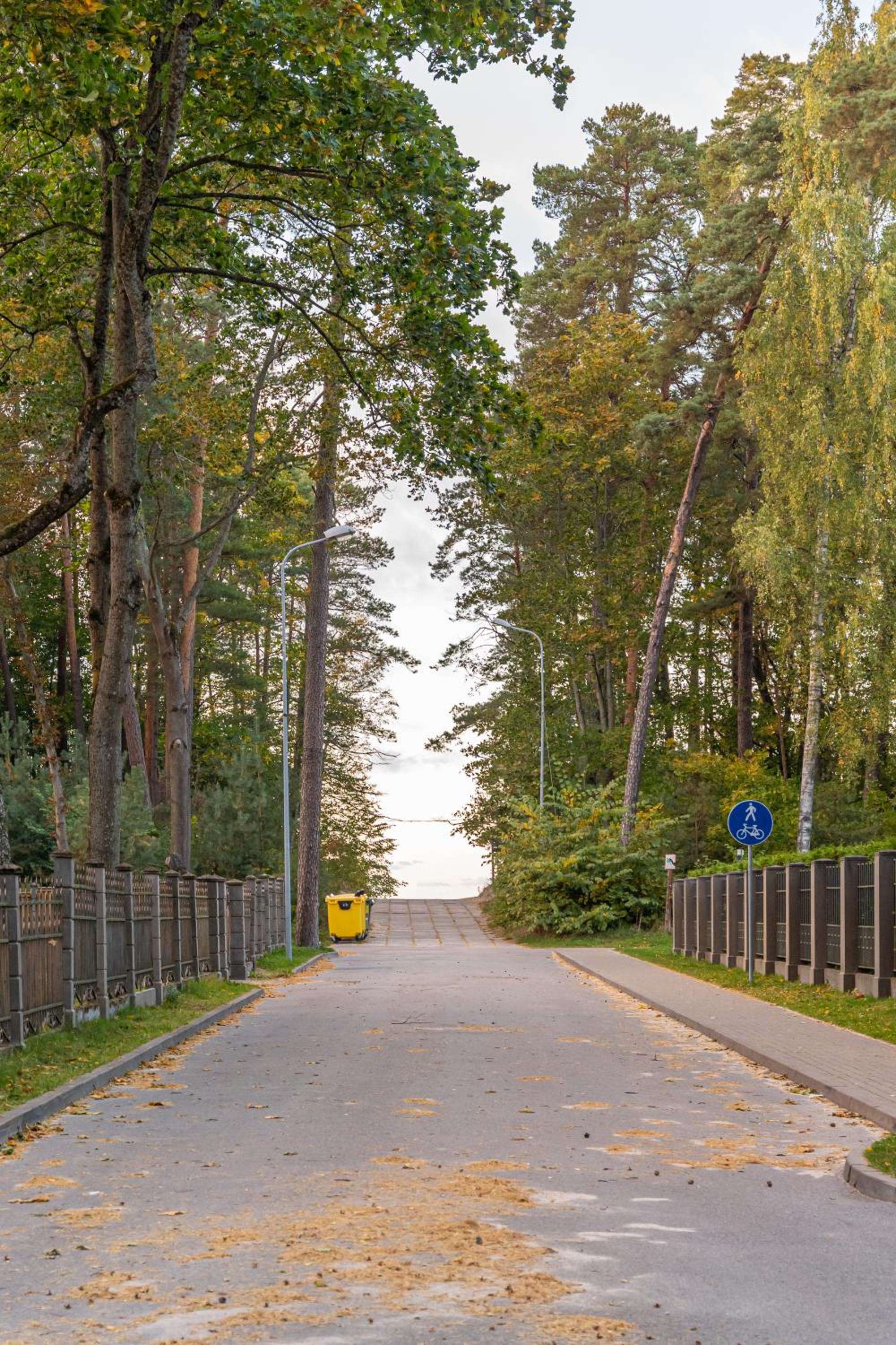 Forest view front line apartment on Dzintaru prospekts