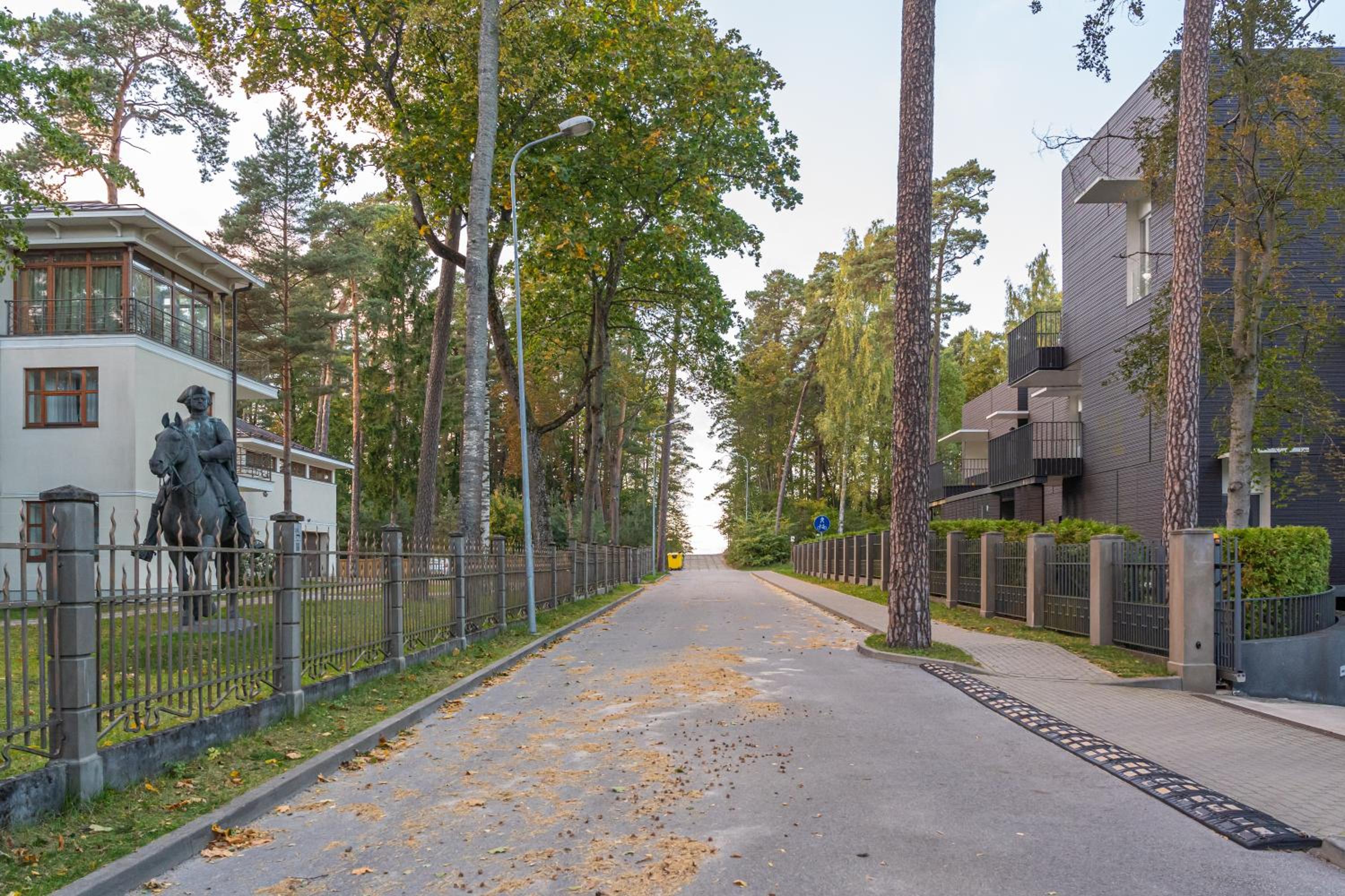 Forest view front line apartment on Dzintaru prospekts