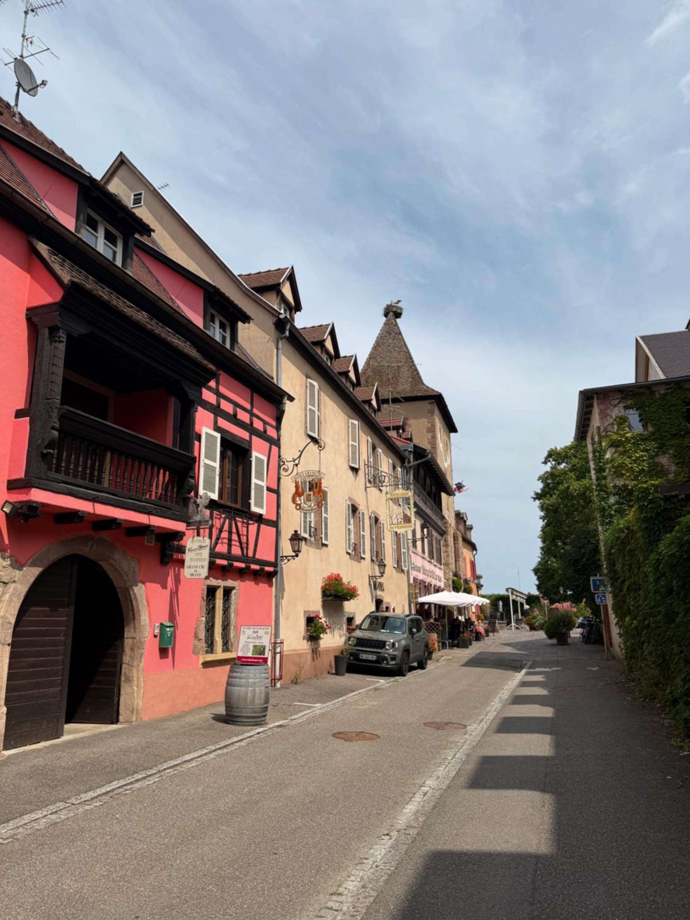 Le Nid du Veilleur-10min de Colmar