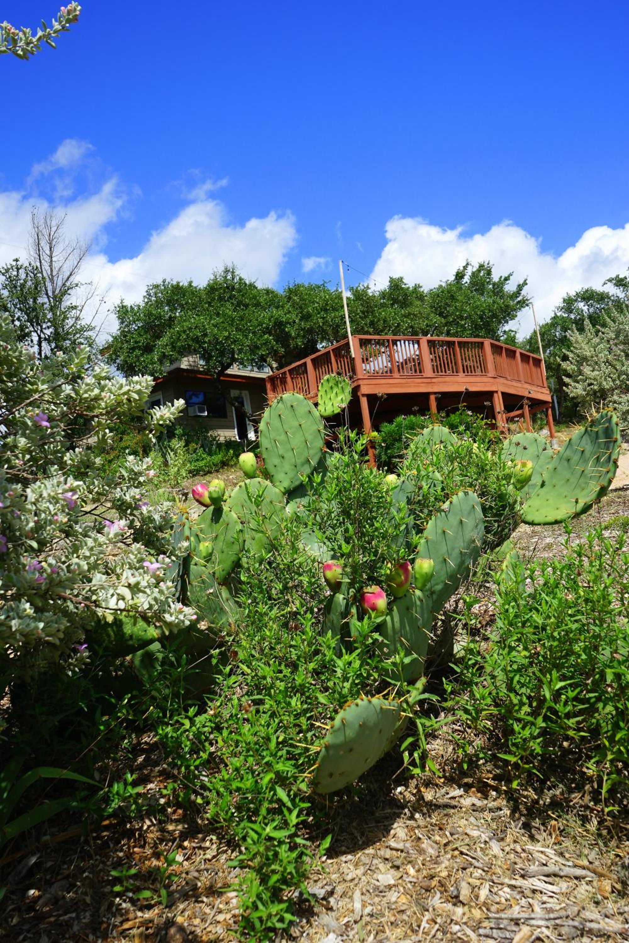 24 ppl! Hot Tubs, Pool, Firepits 3 Homes, Venue
