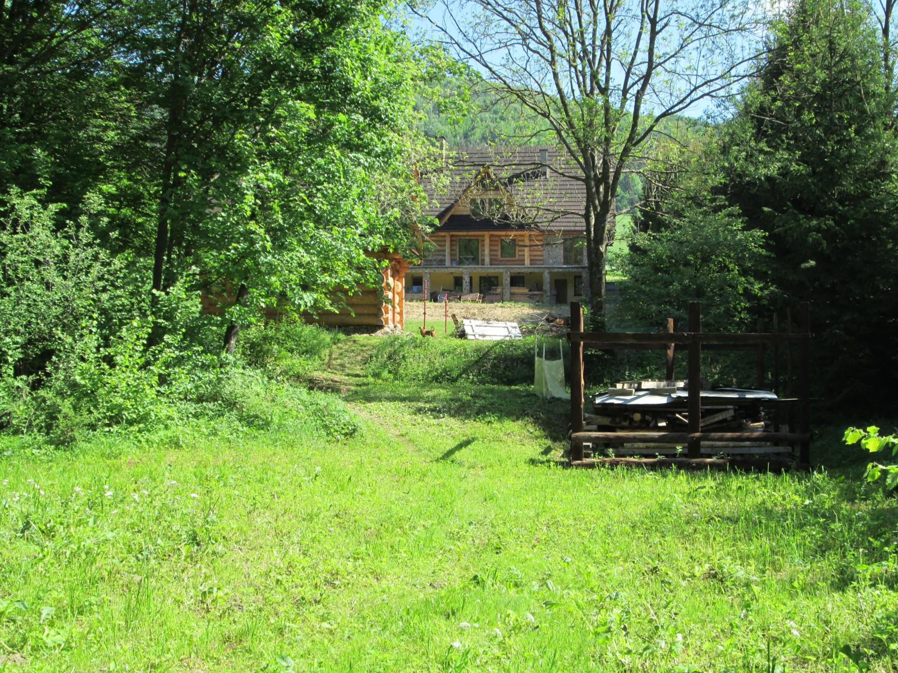 Photo 15