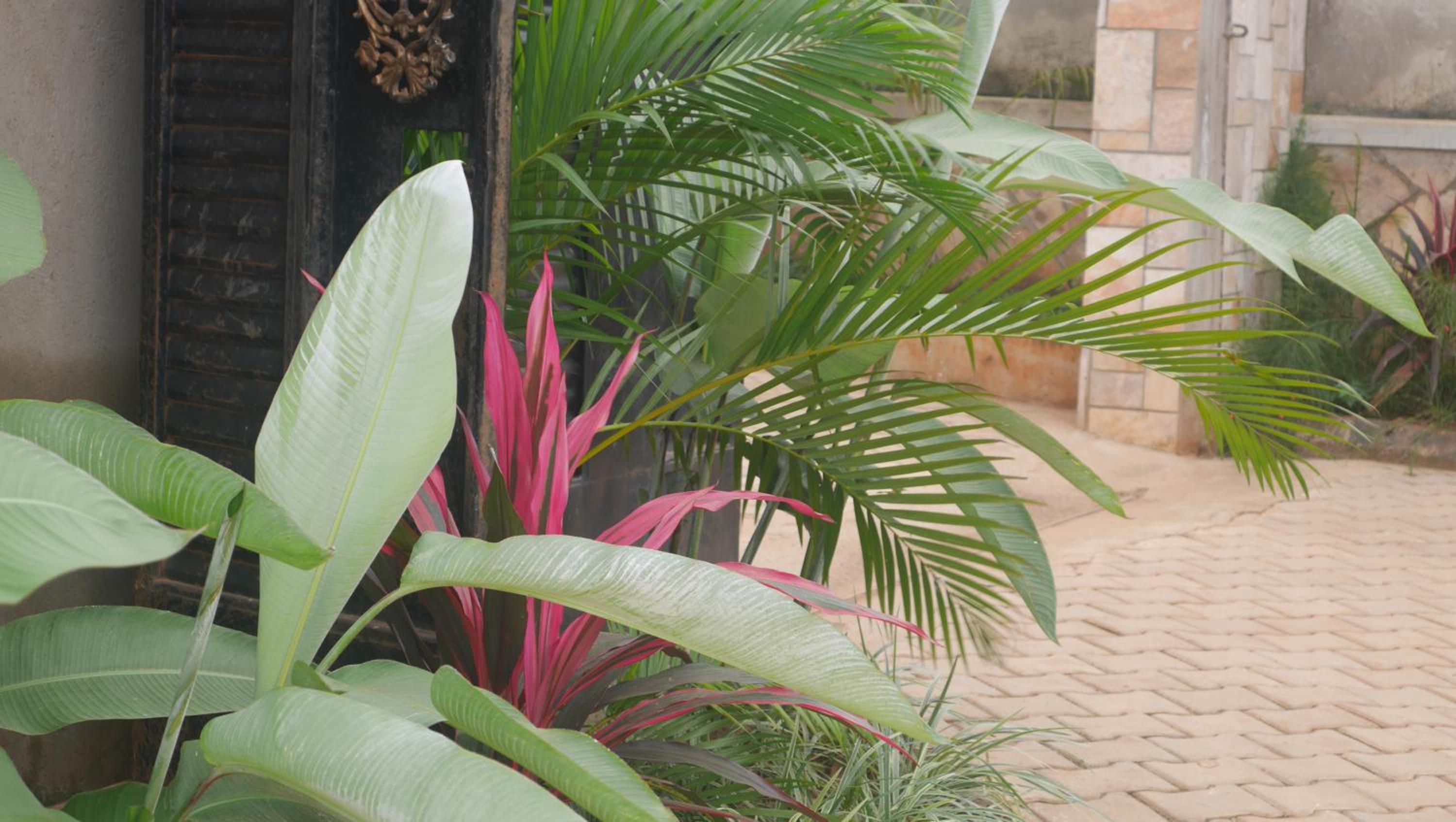 Ntinda View Apartments