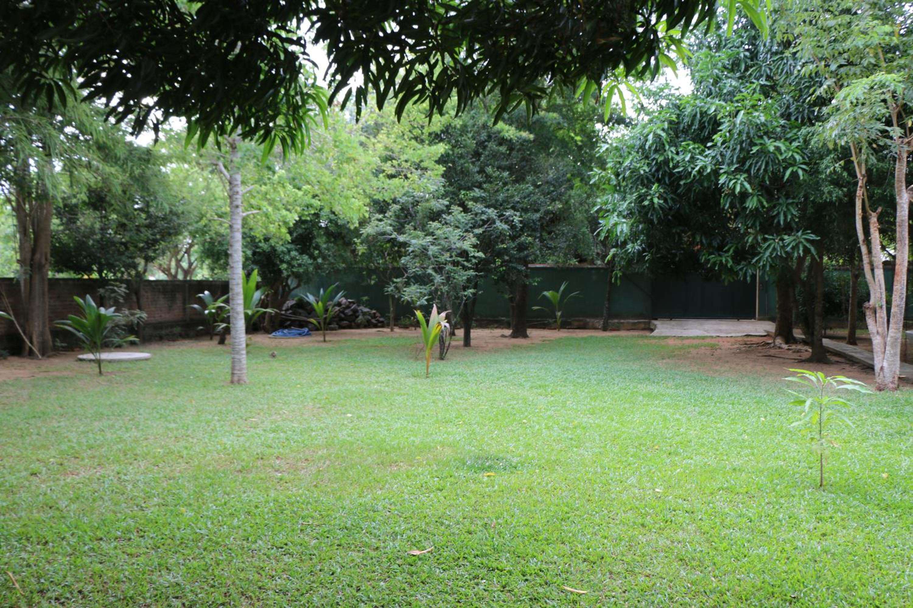 Photo 200