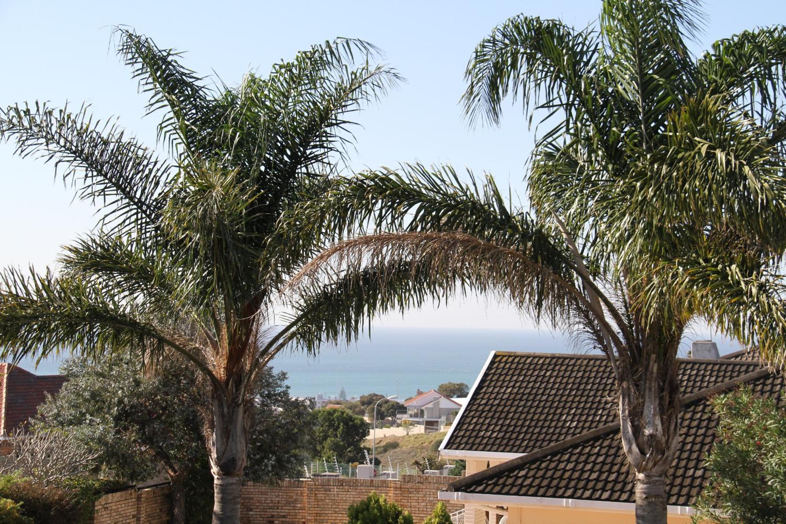 Port Elizabeth Guest House