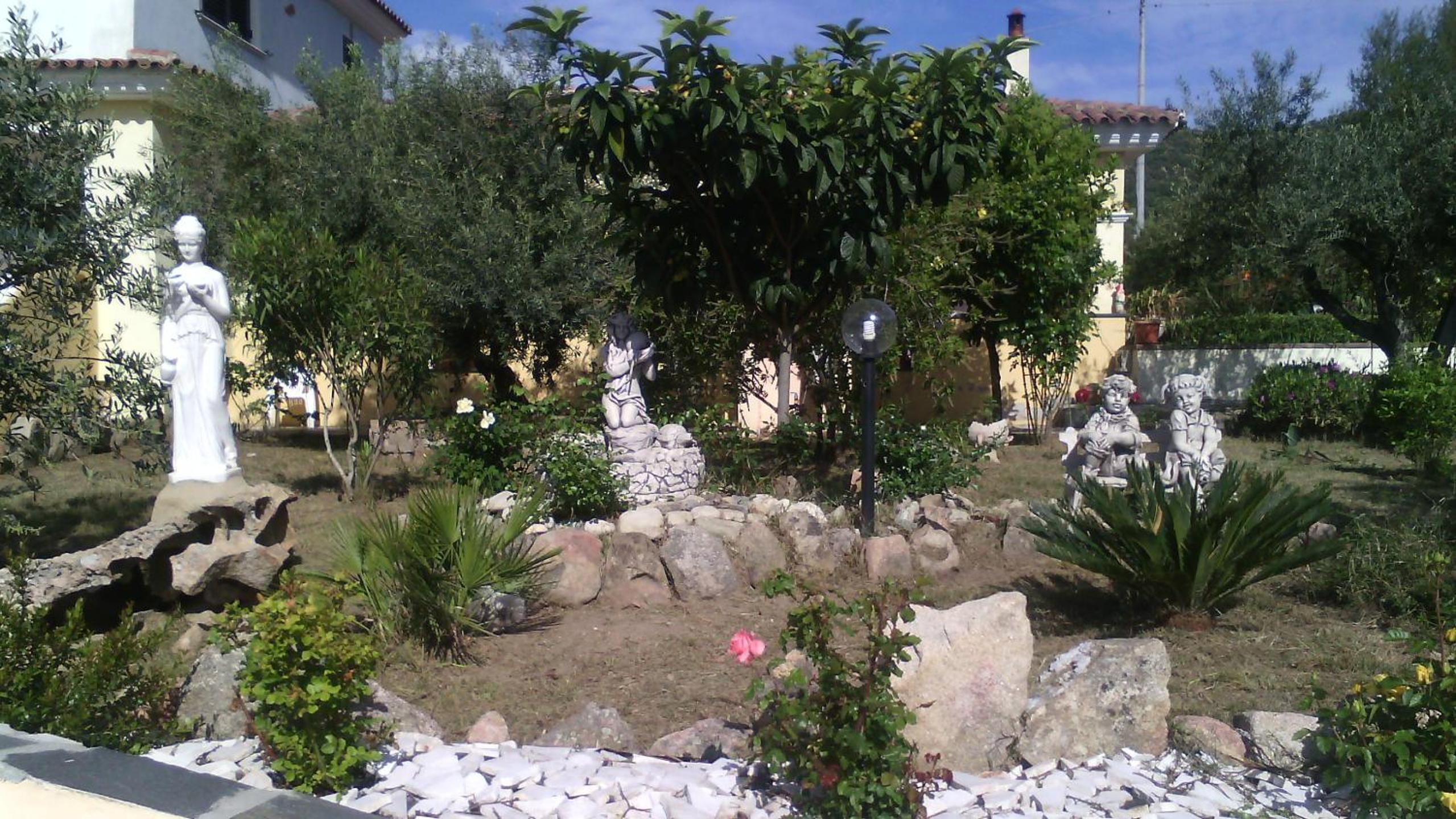 Photo 62