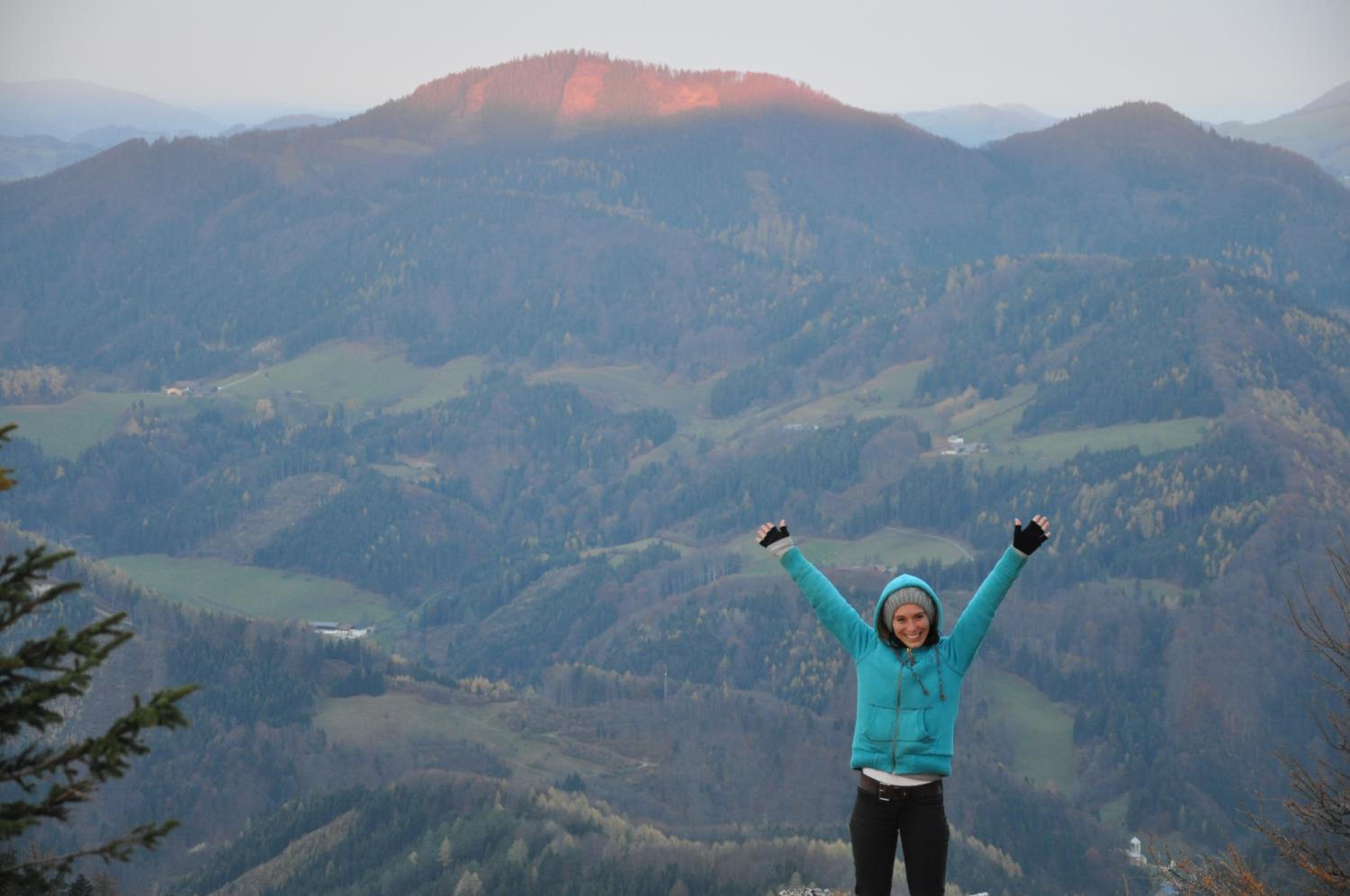 Haslaustube
