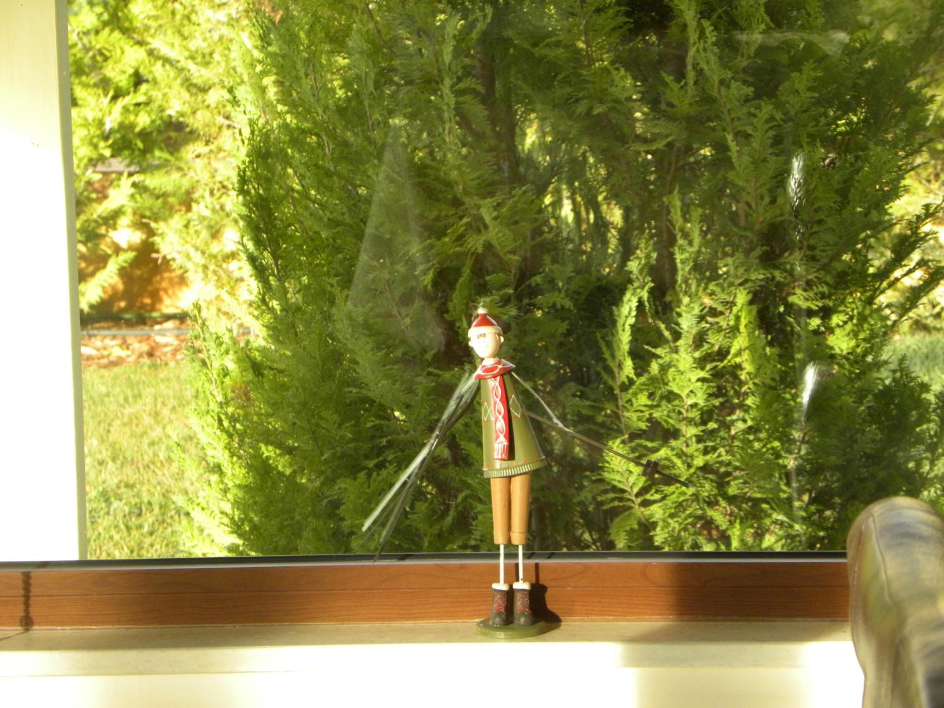Photo 22