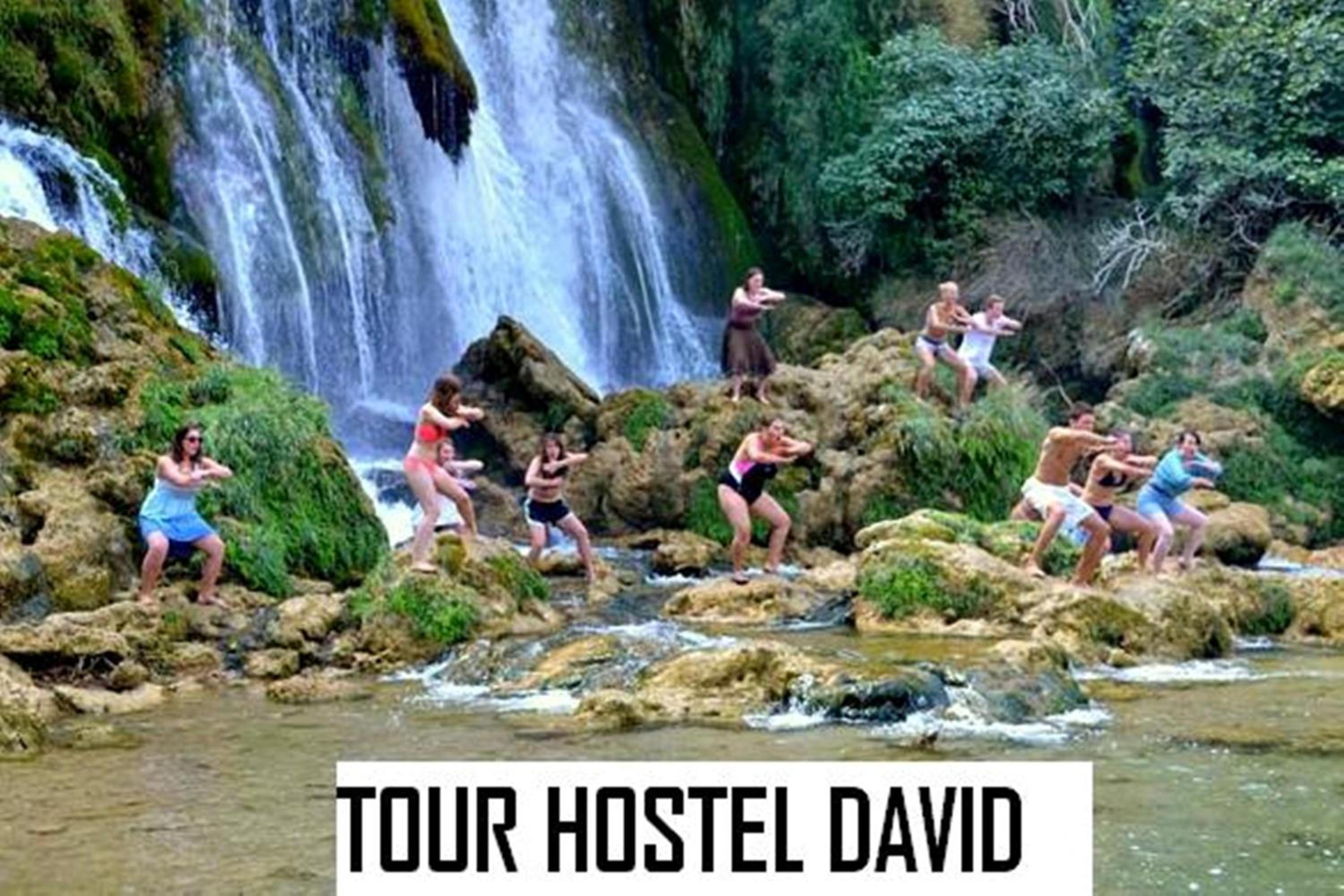 Hostel David