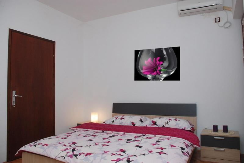 Apartments Svorcan