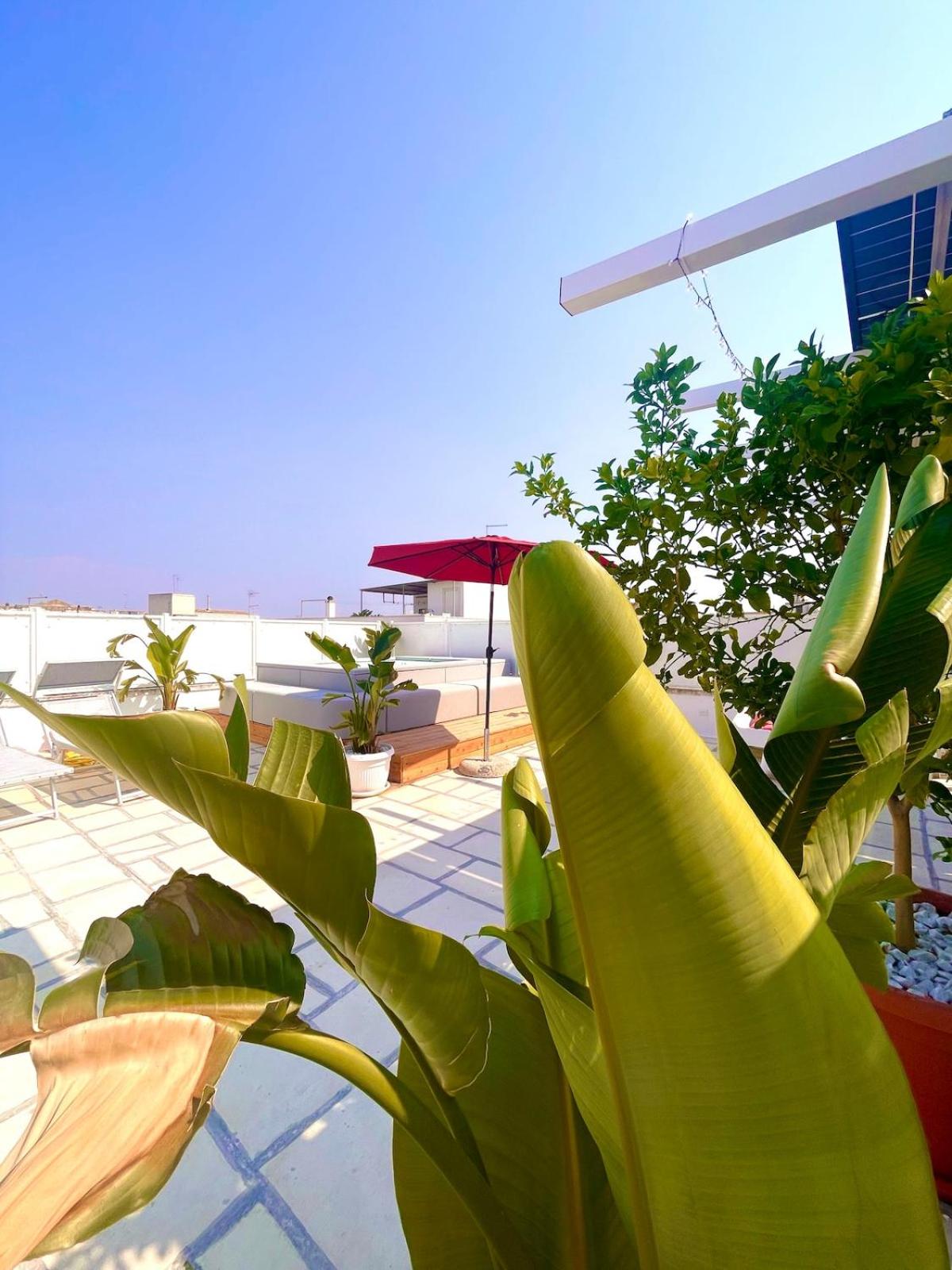 Casa e Vita Salento - Centro storico Nardò with shared terrace