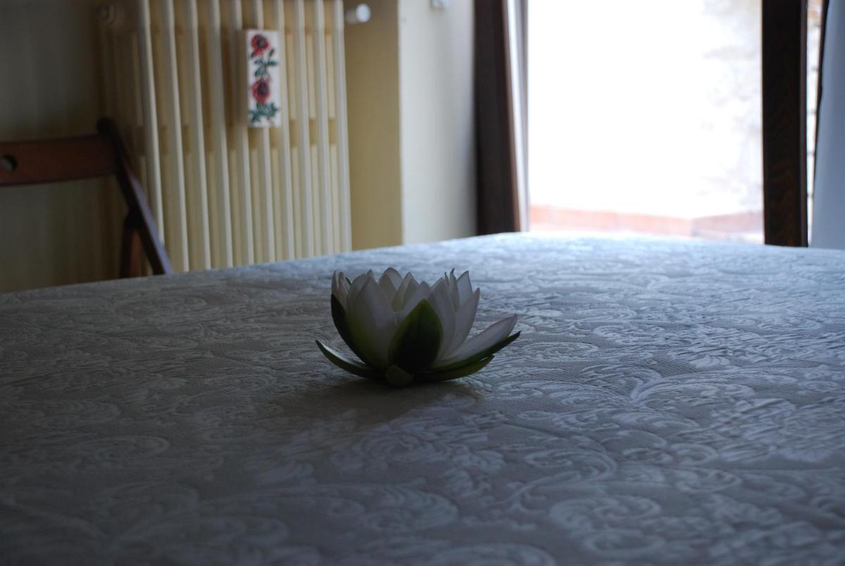Photo 52