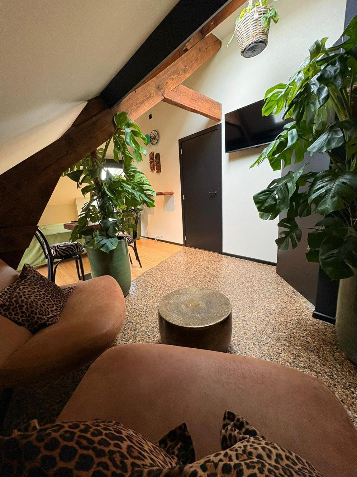 Casa Verde Brugge