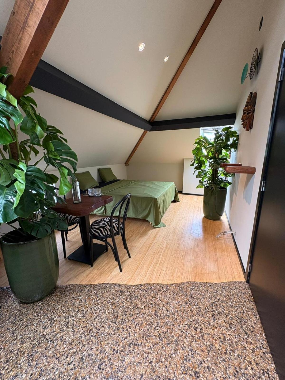 Casa Verde Brugge